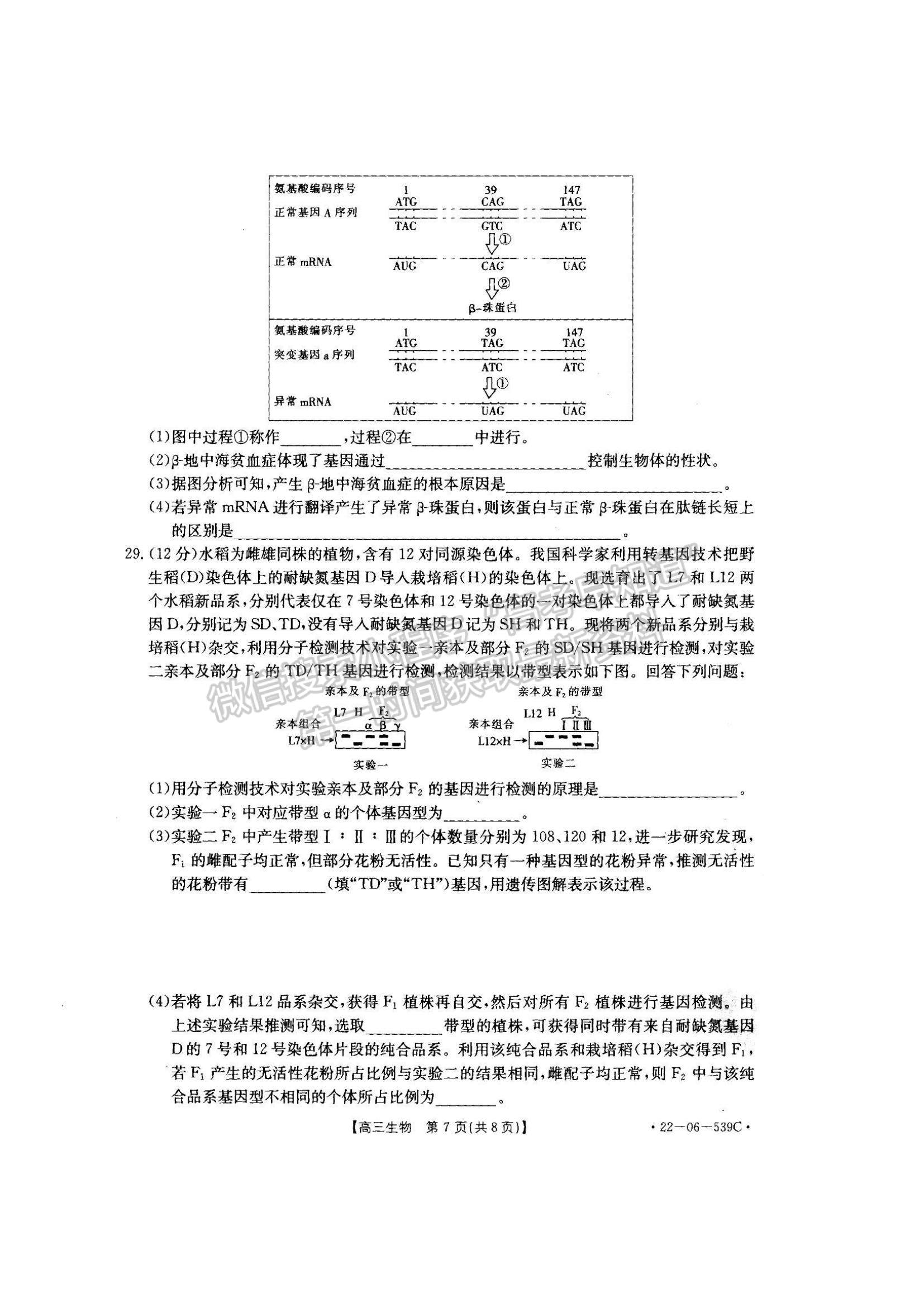 2023洛陽創(chuàng)新發(fā)展聯(lián)盟高三摸底考試?yán)砭C試卷及答案