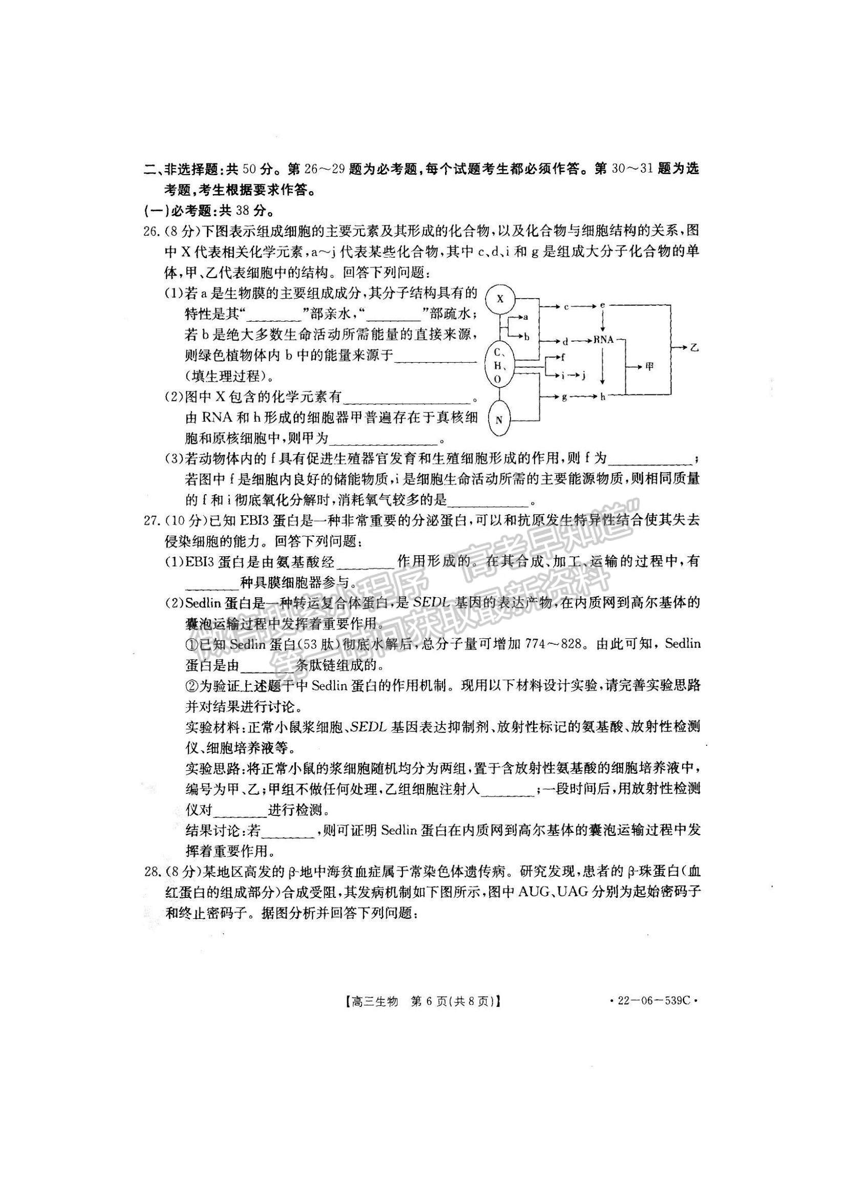 2023洛阳创新发展联盟高三摸底考试理综试卷及答案