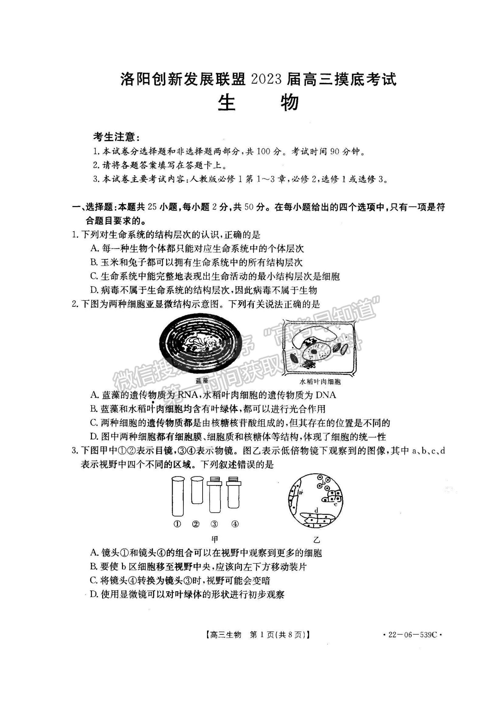 2023洛陽創(chuàng)新發(fā)展聯(lián)盟高三摸底考試?yán)砭C試卷及答案