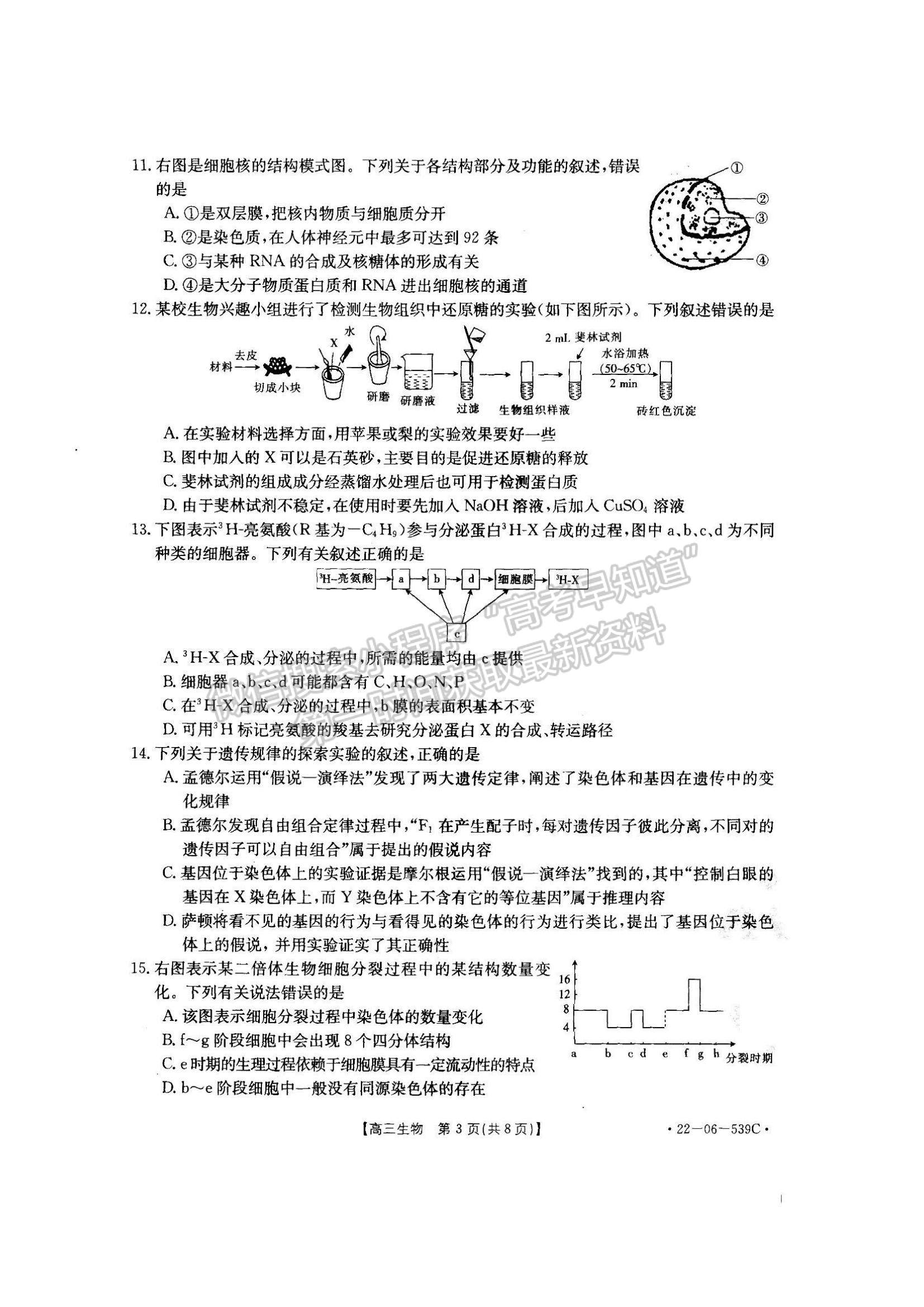 2023洛阳创新发展联盟高三摸底考试理综试卷及答案