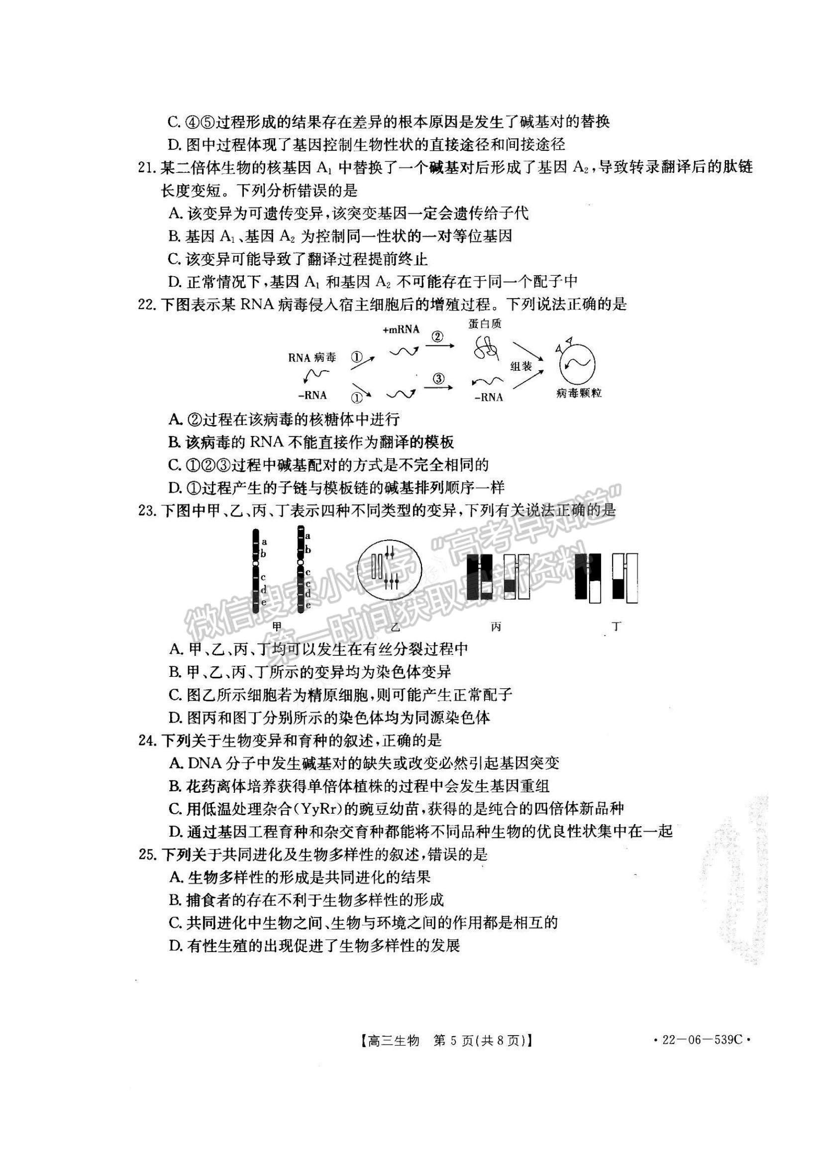 2023洛阳创新发展联盟高三摸底考试理综试卷及答案