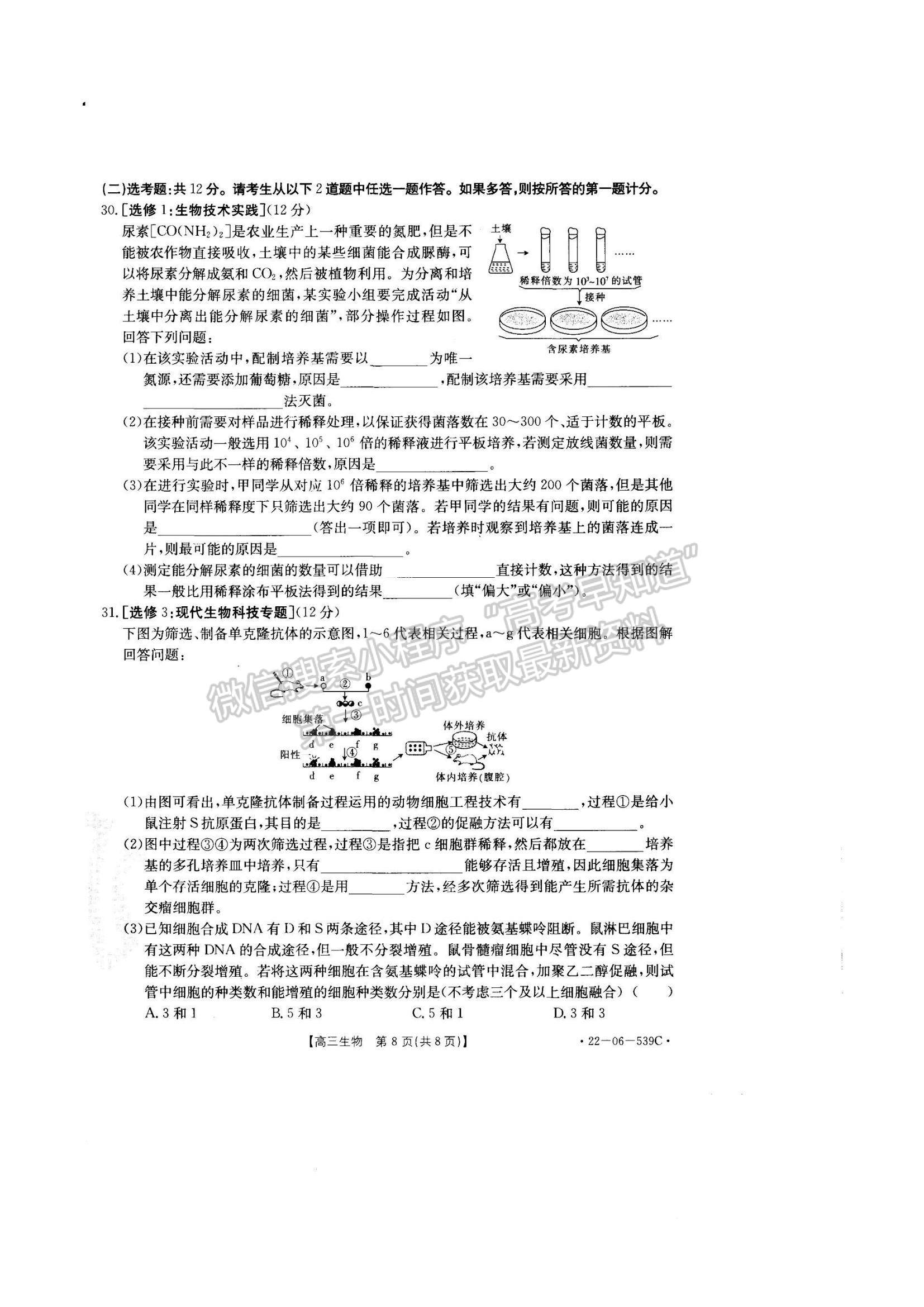 2023洛陽創(chuàng)新發(fā)展聯(lián)盟高三摸底考試?yán)砭C試卷及答案