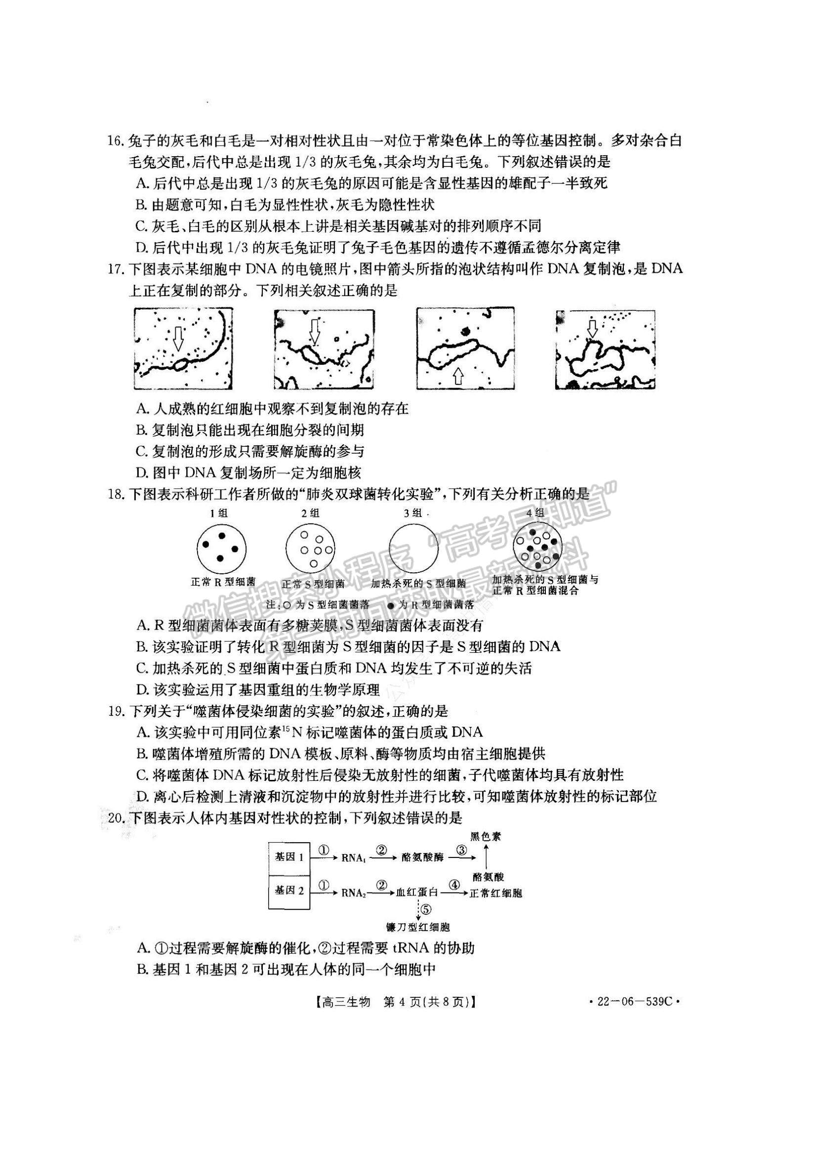 2023洛阳创新发展联盟高三摸底考试理综试卷及答案