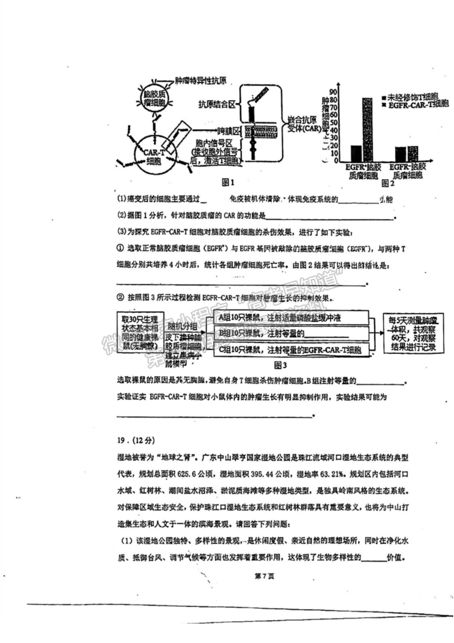 2023廣東高三六校聯(lián)考生物試題及參考答案