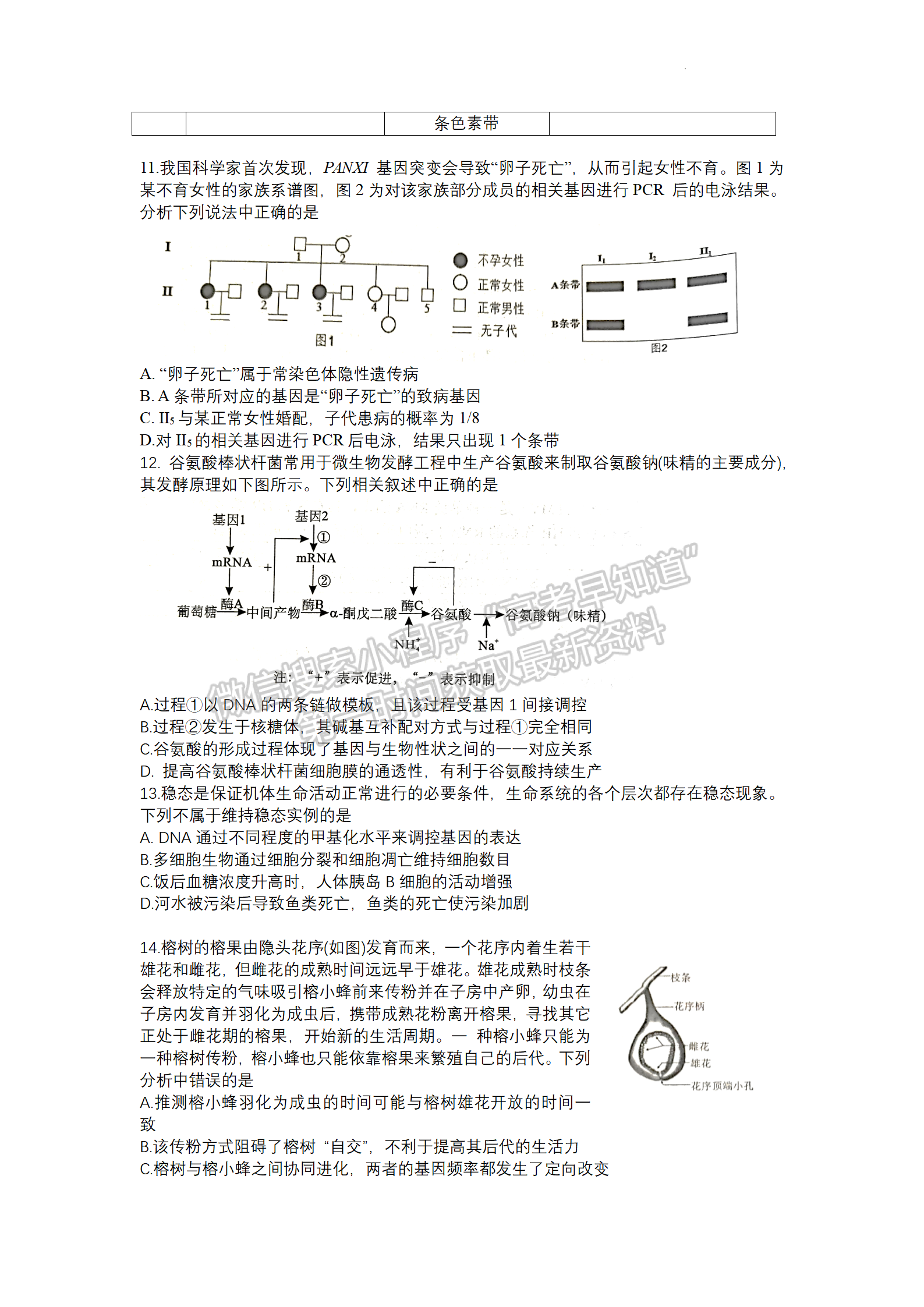 2022湖北騰云聯(lián)盟8月聯(lián)考生物試卷及答案