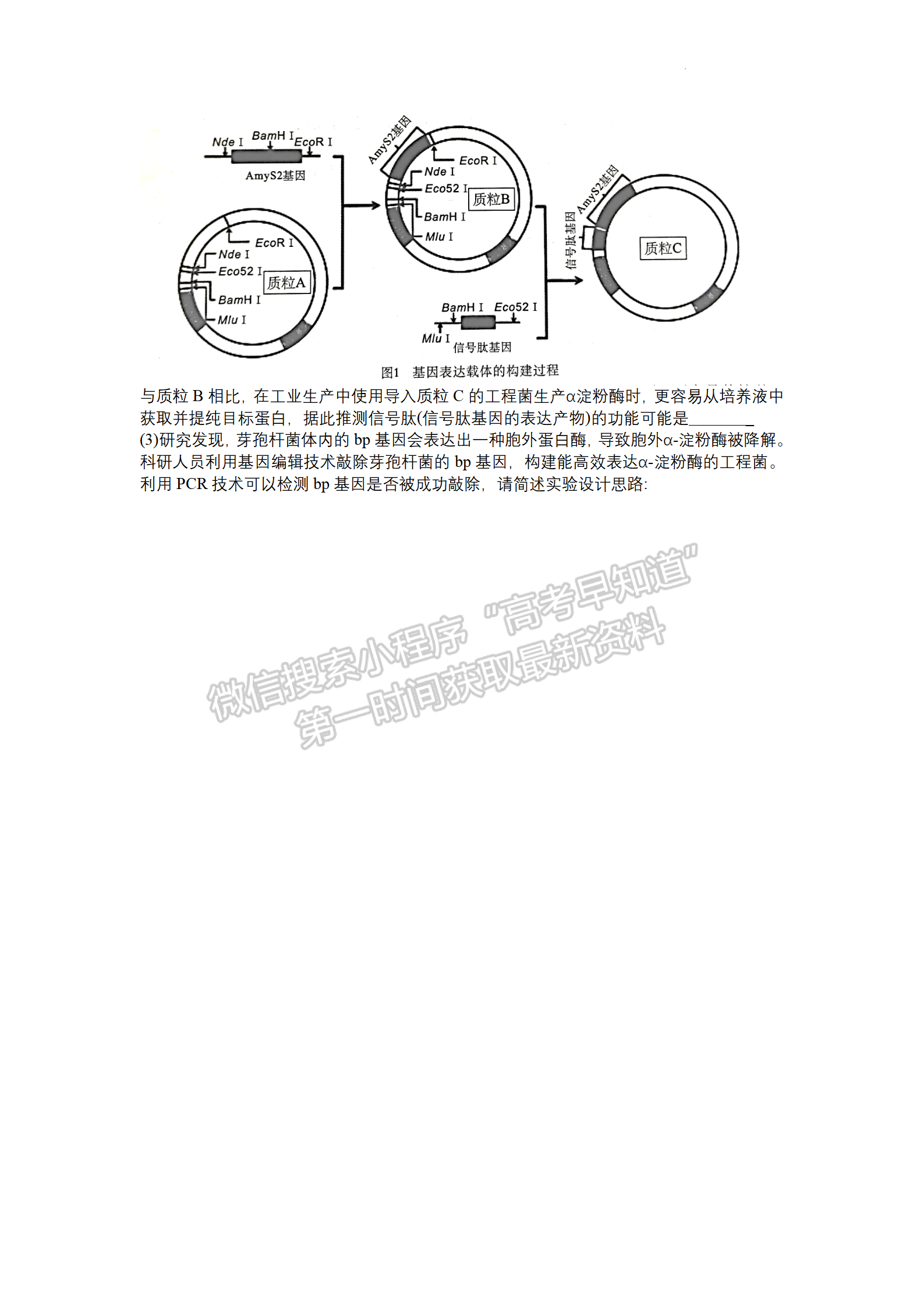 2022湖北騰云聯(lián)盟8月聯(lián)考生物試卷及答案