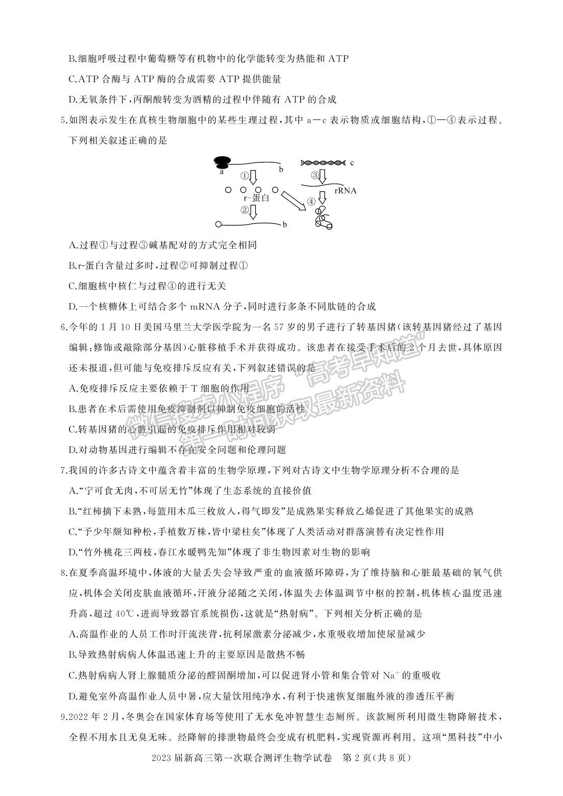 2022湖北名校聯(lián)盟2023屆新高三第一次聯(lián)合測評生物試卷及答案