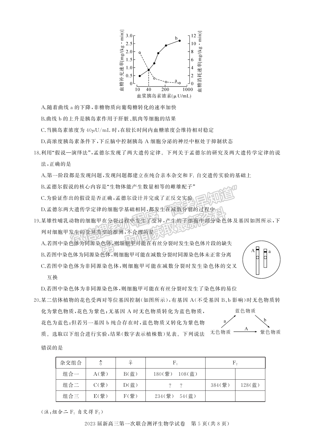 2022湖北名校聯(lián)盟2023屆新高三第一次聯(lián)合測評生物試卷及答案