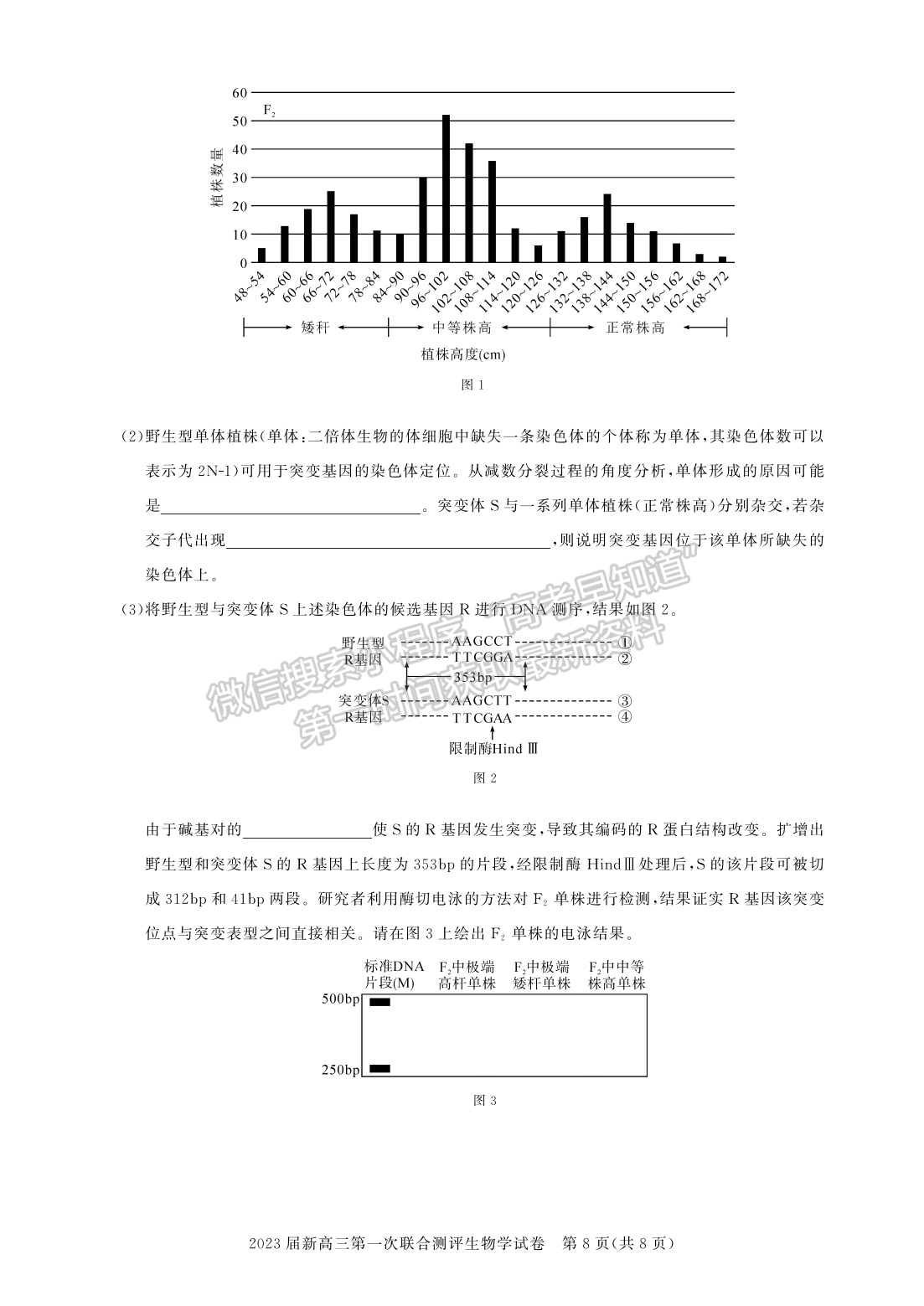 2022湖北名校聯(lián)盟2023屆新高三第一次聯(lián)合測評生物試卷及答案