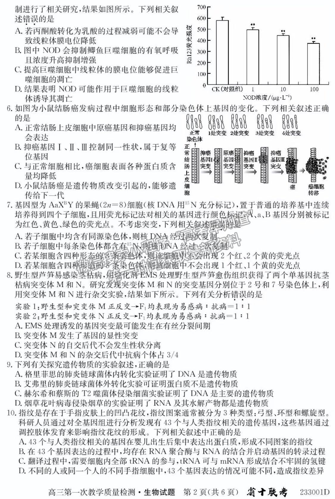 2023安徽省十校聯(lián)考高三第一次質(zhì)量檢測(cè)生物試卷及答案