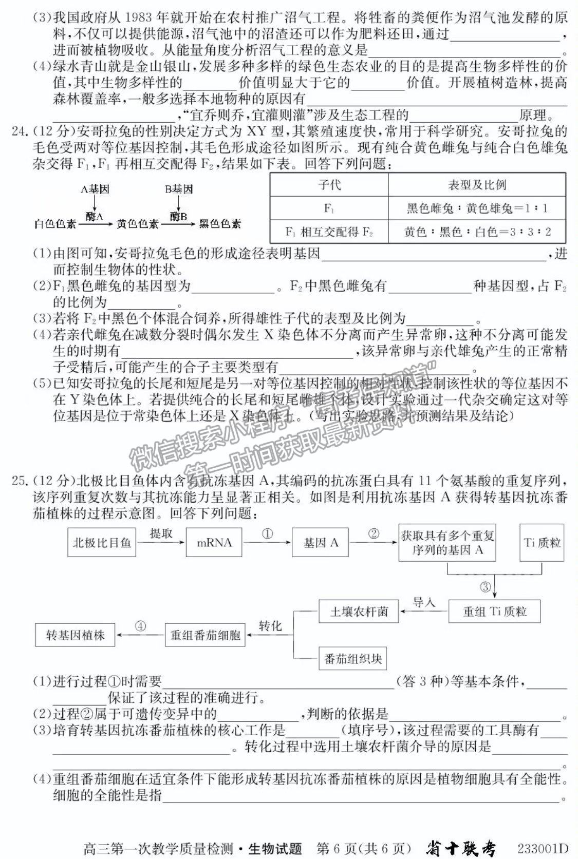 2023安徽省十校聯(lián)考高三第一次質(zhì)量檢測生物試卷及答案