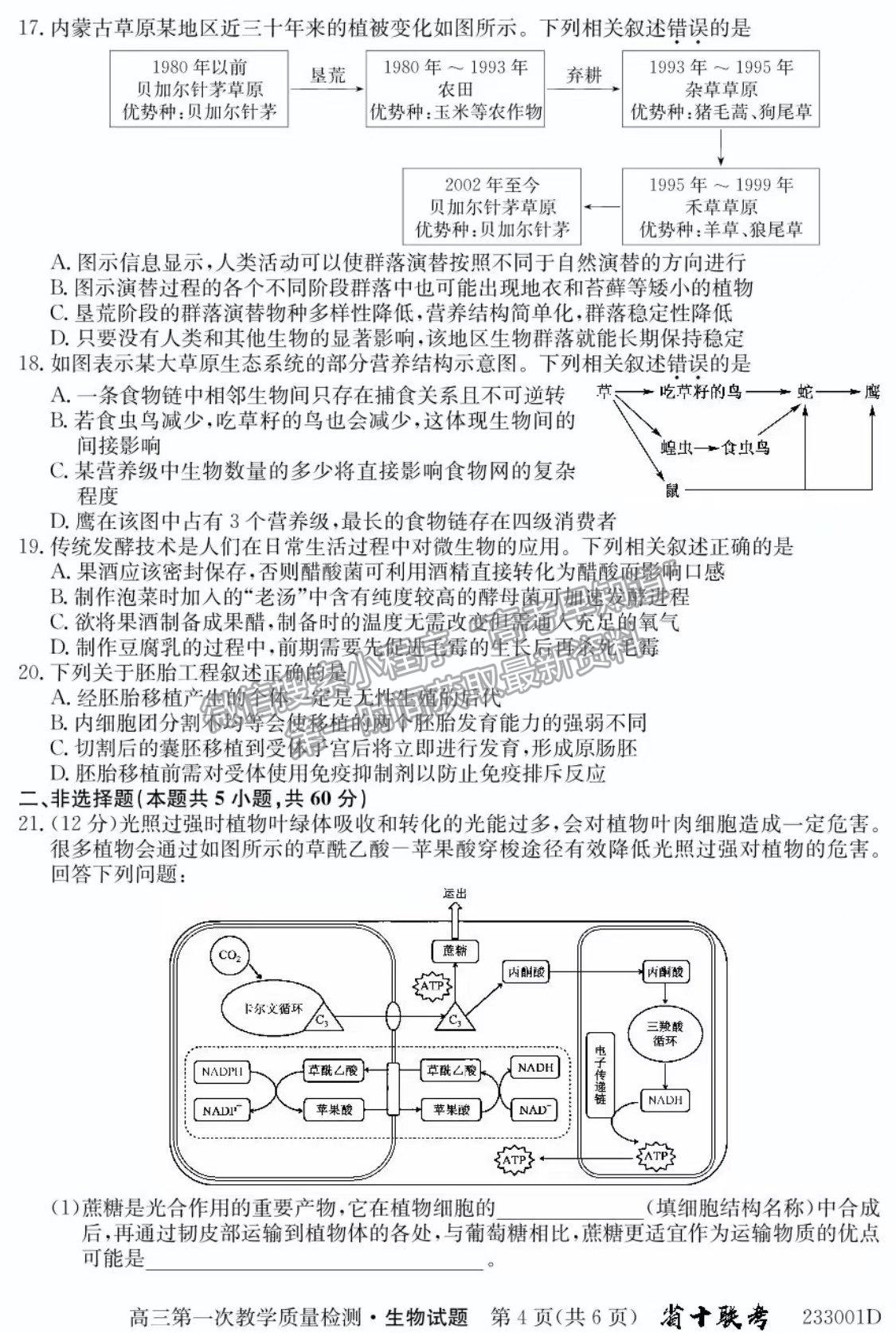 2023安徽省十校聯(lián)考高三第一次質(zhì)量檢測生物試卷及答案