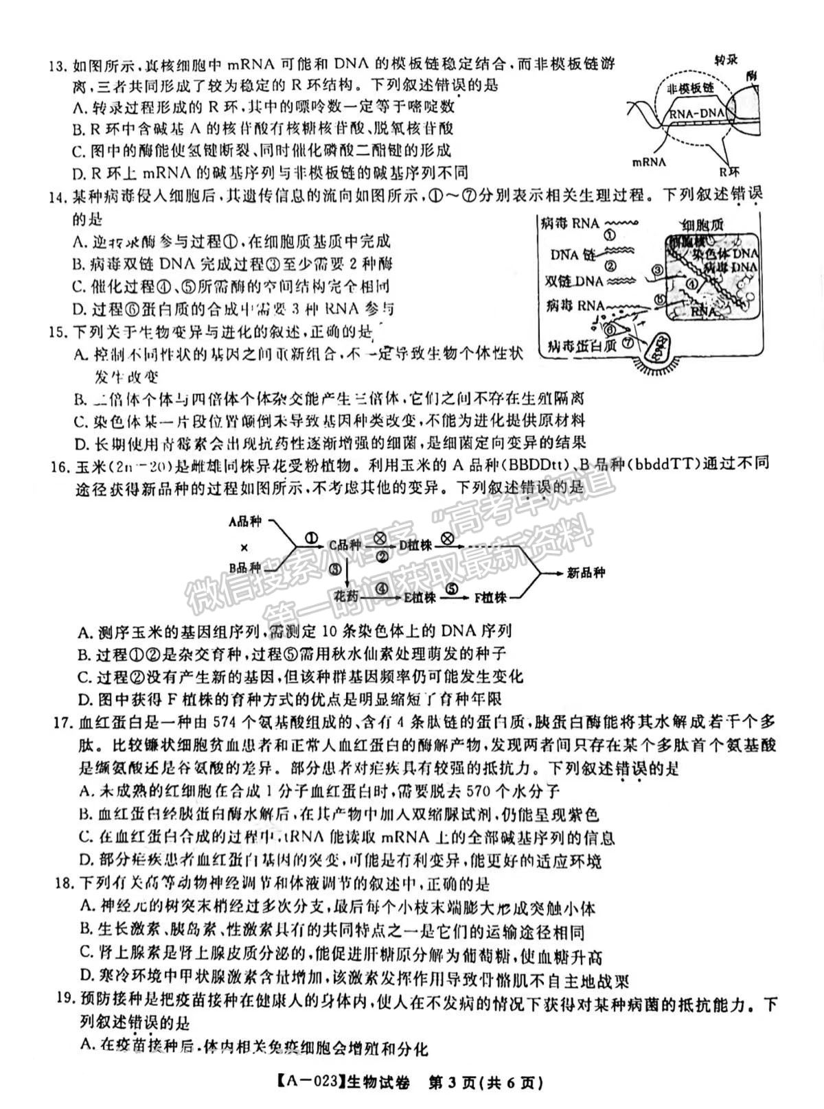 2023安徽皖江名校高三摸底考生物試卷及答案