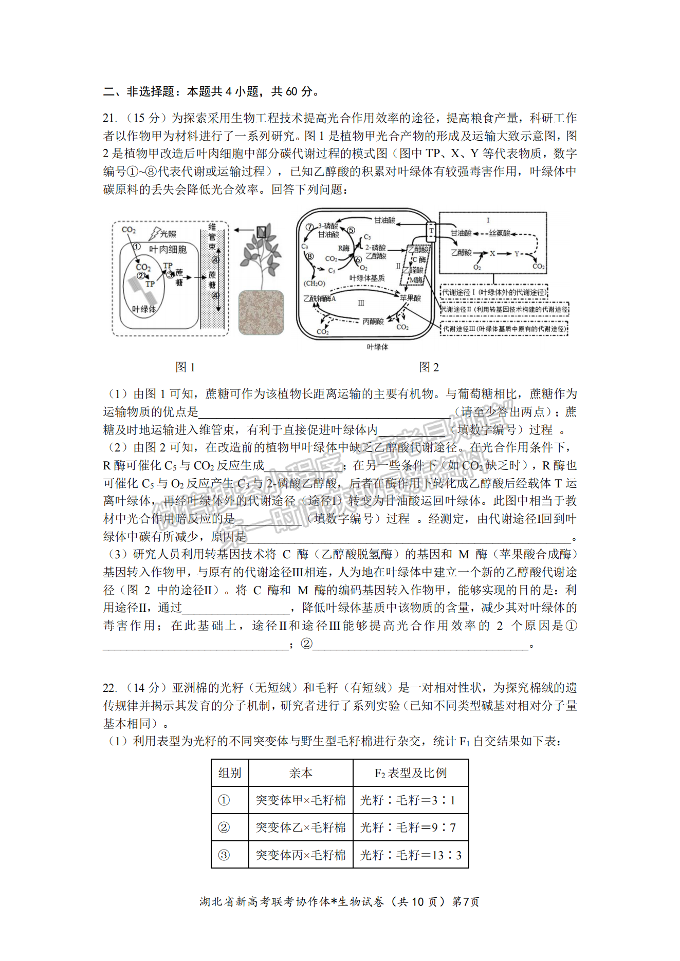 2023湖北新高考聯(lián)考協(xié)作體高三上學(xué)期起點(diǎn)考試生物試卷及答案