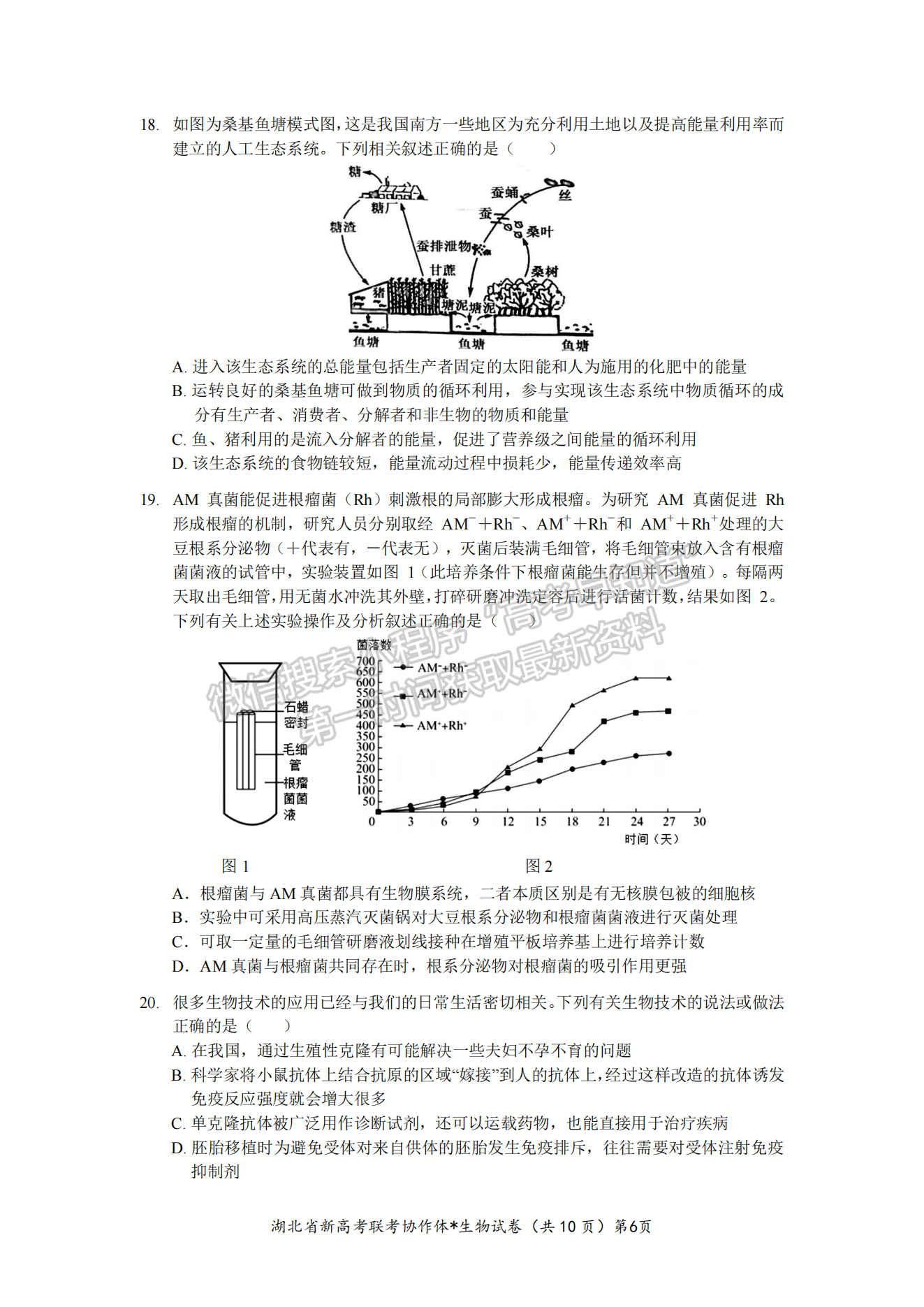 2023湖北新高考聯(lián)考協(xié)作體高三上學(xué)期起點(diǎn)考試生物試卷及答案