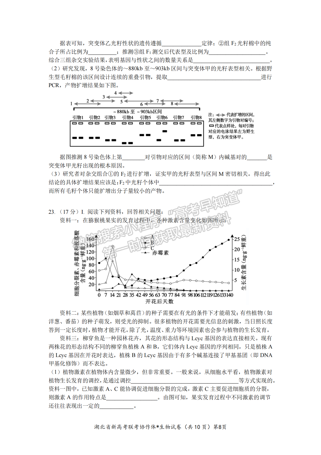 2023湖北新高考聯(lián)考協(xié)作體高三上學(xué)期起點(diǎn)考試生物試卷及答案