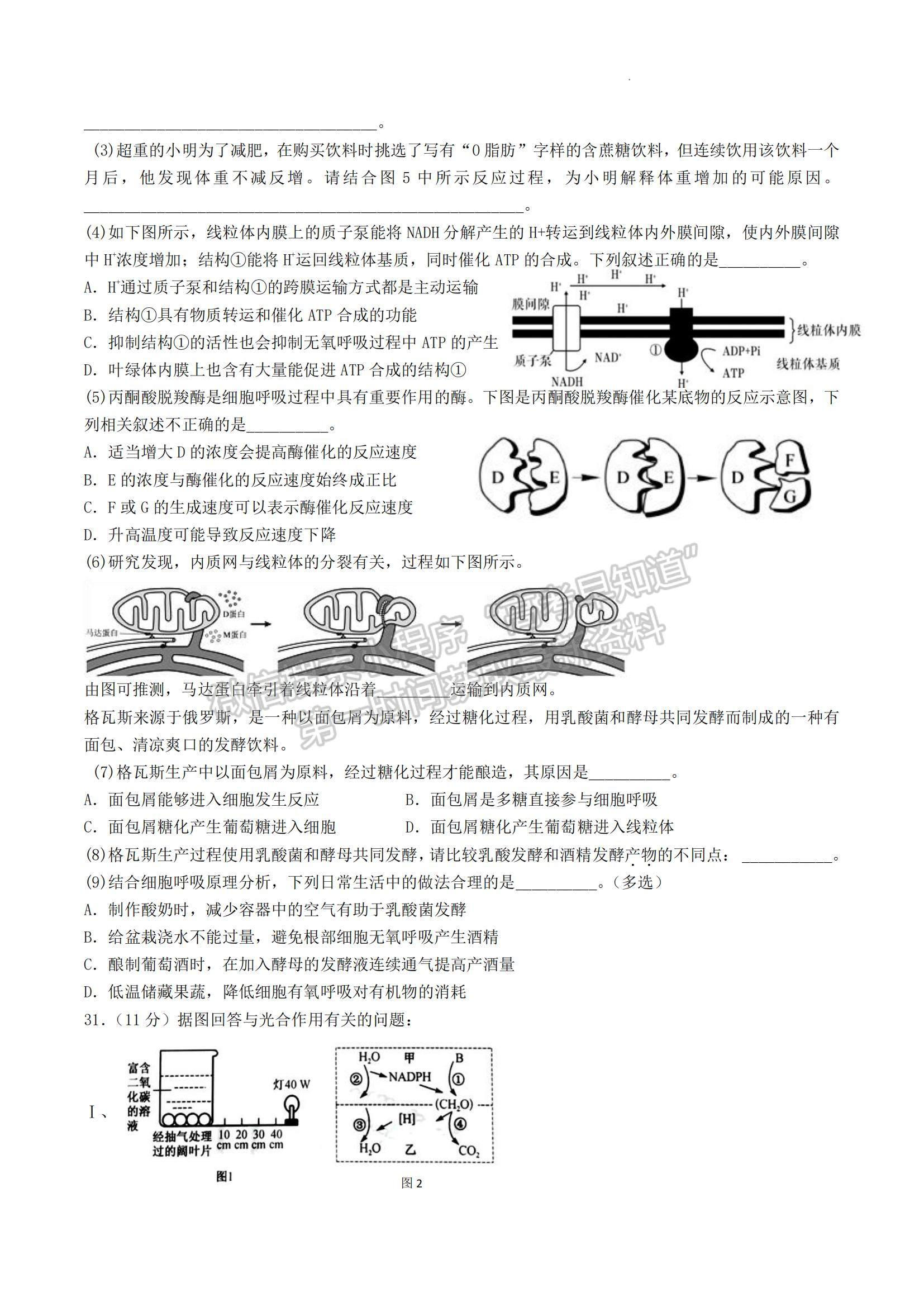 2023屆河南信陽高級中學高三上學期開學考-理綜試卷及答案