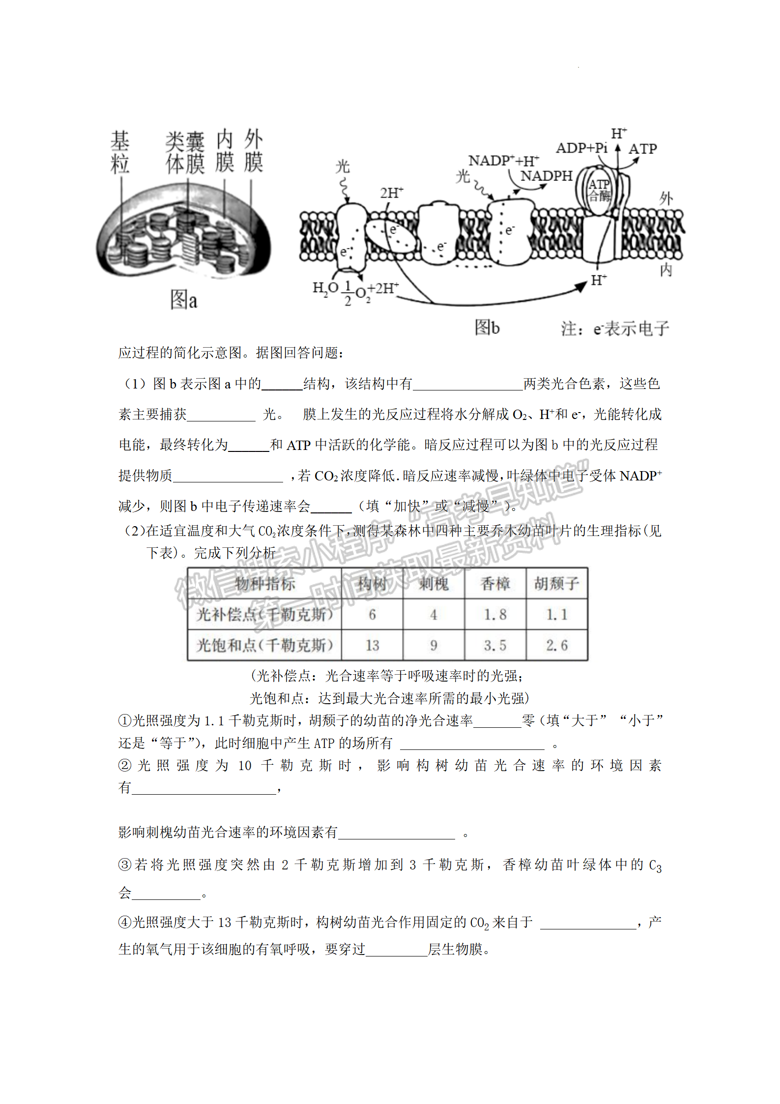 2023屆江蘇省響水中學(xué)秋學(xué)期高三開學(xué)測試生物試題及參考答案