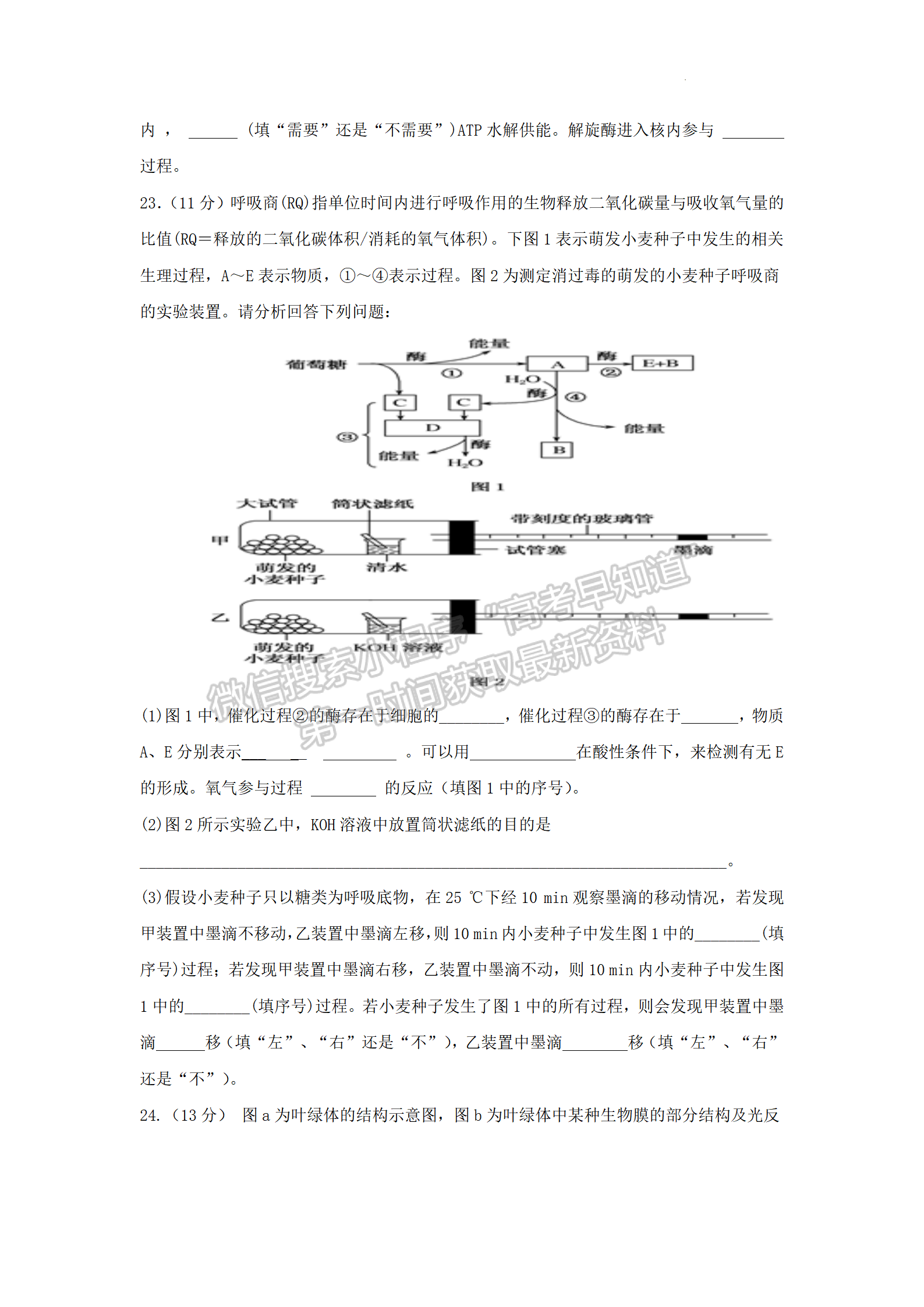 2023屆江蘇省響水中學(xué)秋學(xué)期高三開學(xué)測試生物試題及參考答案