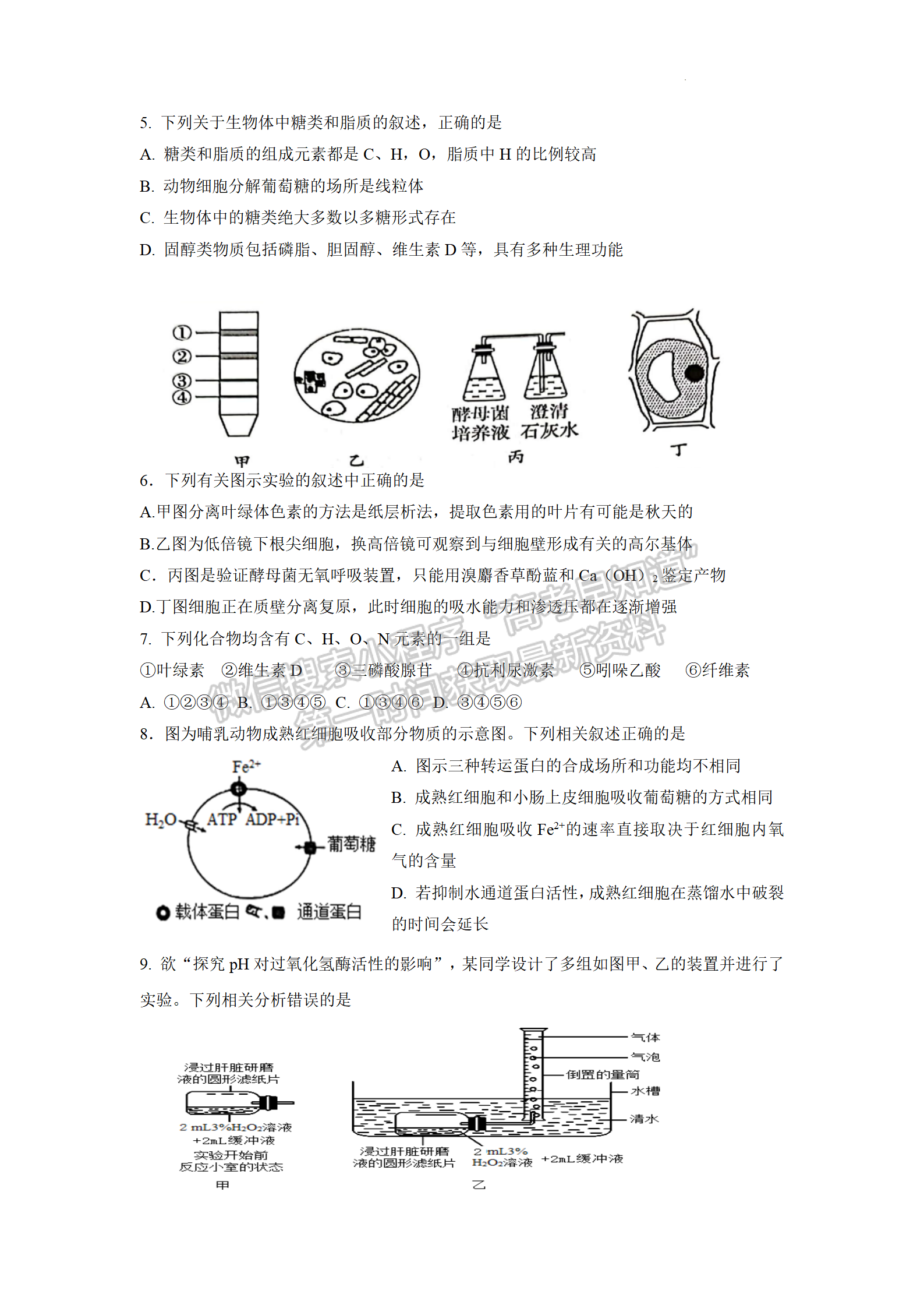 2023屆江蘇省響水中學(xué)秋學(xué)期高三開(kāi)學(xué)測(cè)試生物試題及參考答案