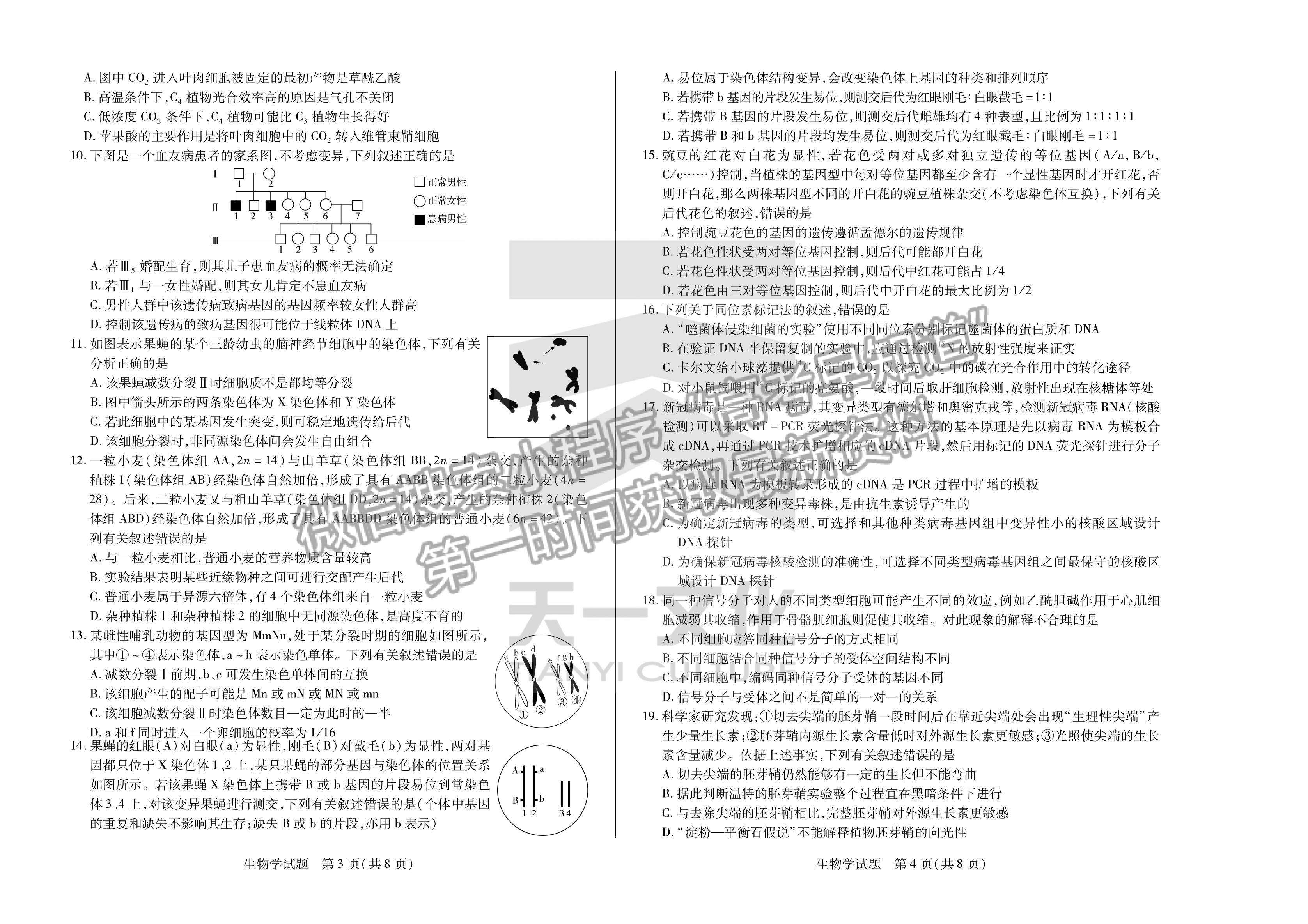 2023安徽省卓越縣中聯(lián)盟高三開學(xué)考生物試卷及答案