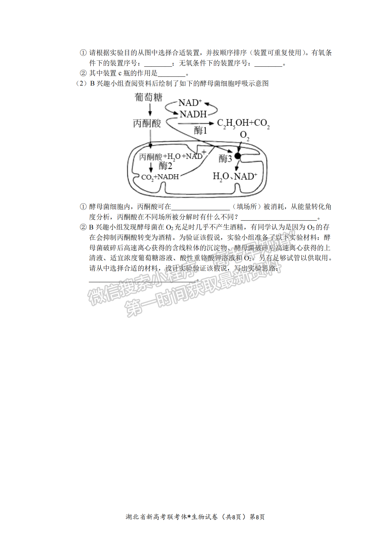 2023湖北荊荊宜三校高三上學期起點考試生物試卷及答案