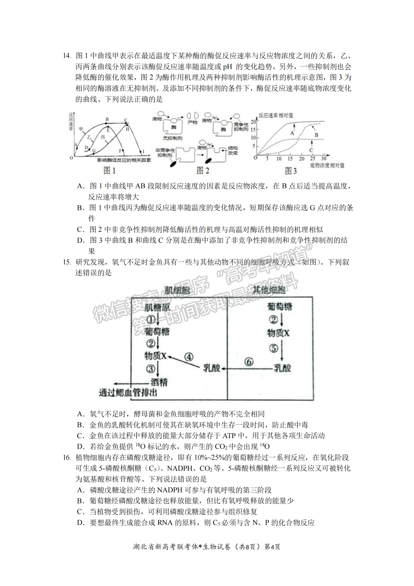 2023湖北荊荊宜三校高三上學(xué)期起點(diǎn)考試生物試卷及答案