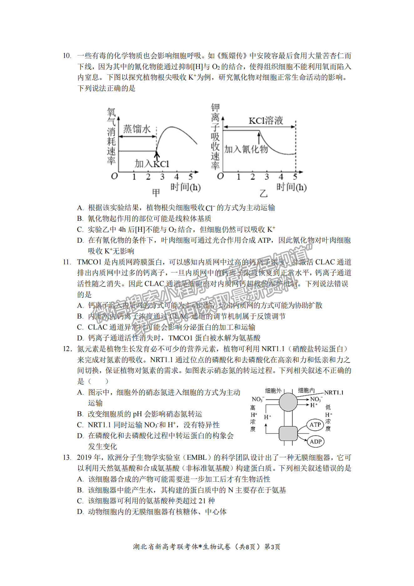 2023湖北荊荊宜三校高三上學(xué)期起點考試生物試卷及答案