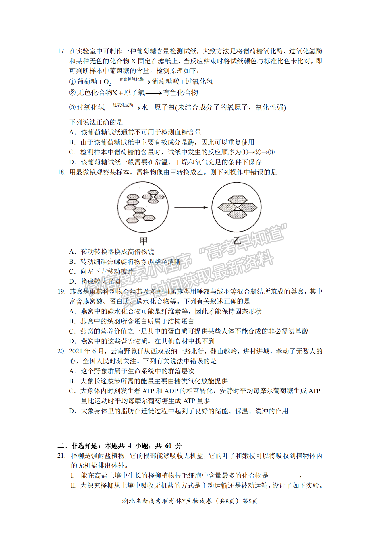 2023湖北荊荊宜三校高三上學(xué)期起點(diǎn)考試生物試卷及答案