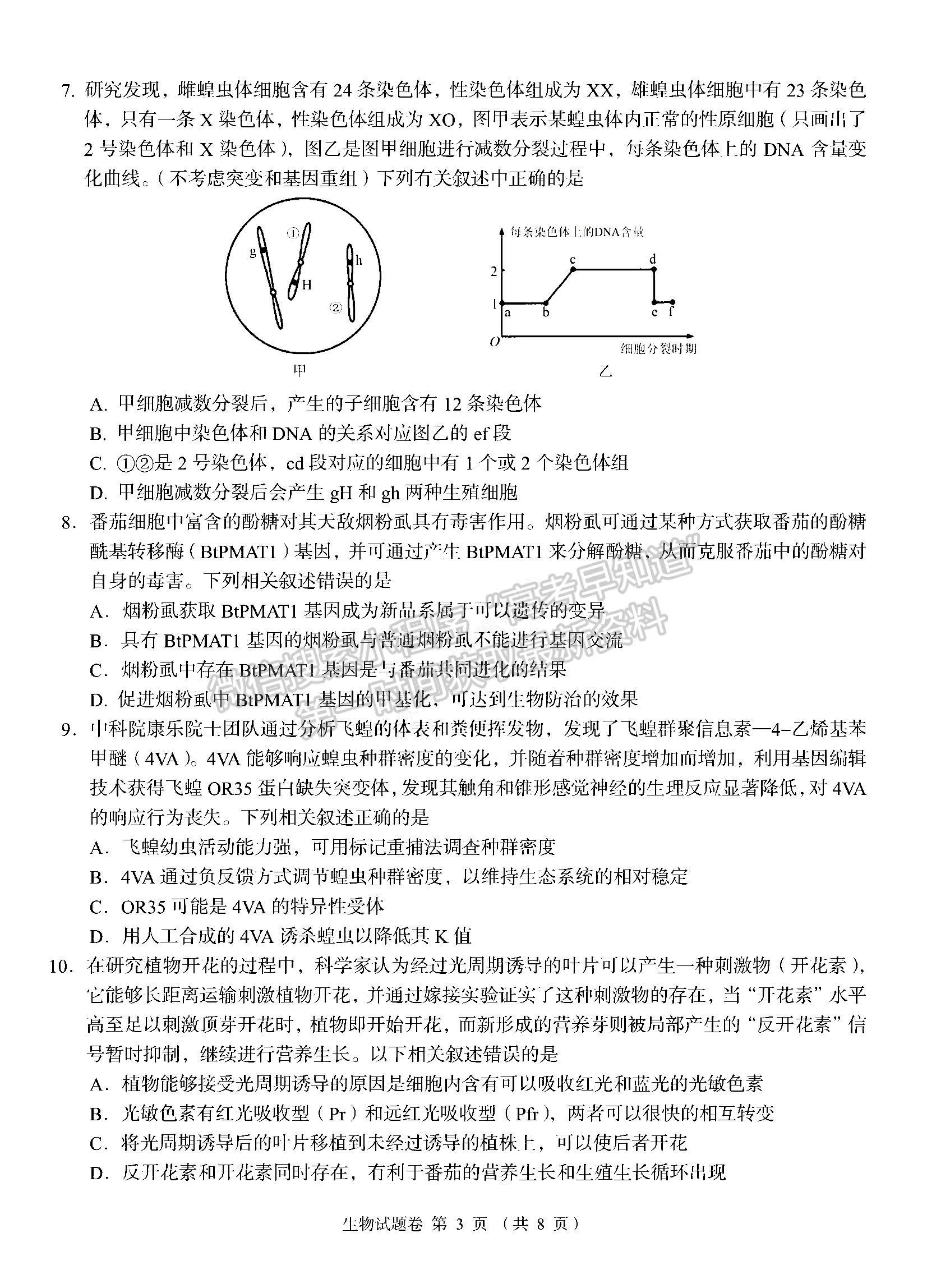 2023湖南省A佳教育高三上學期入學模擬測試生物試卷及答案