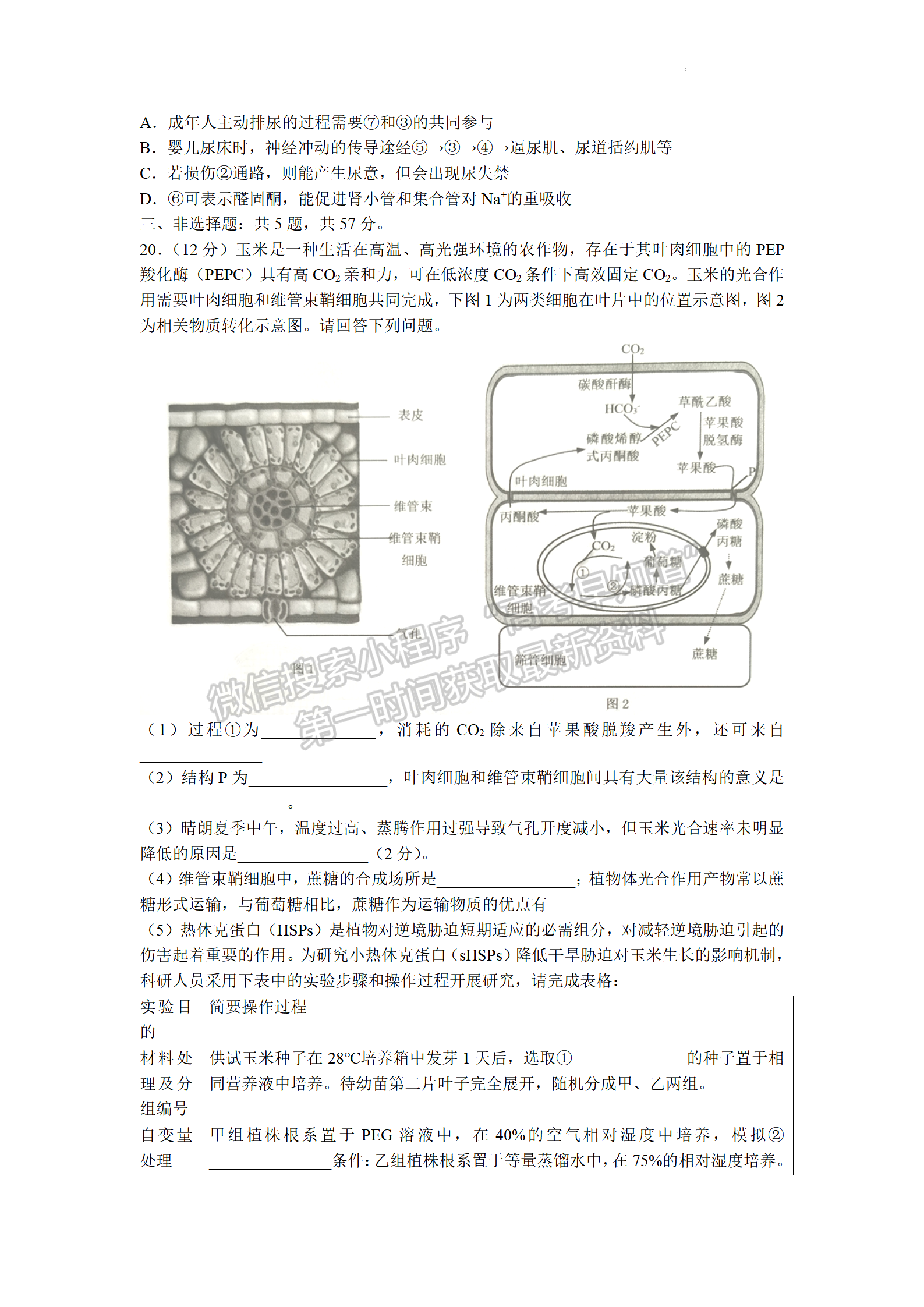 2023屆江蘇省鎮(zhèn)江市高三上學(xué)期期初測(cè)試生物試題及參考答案