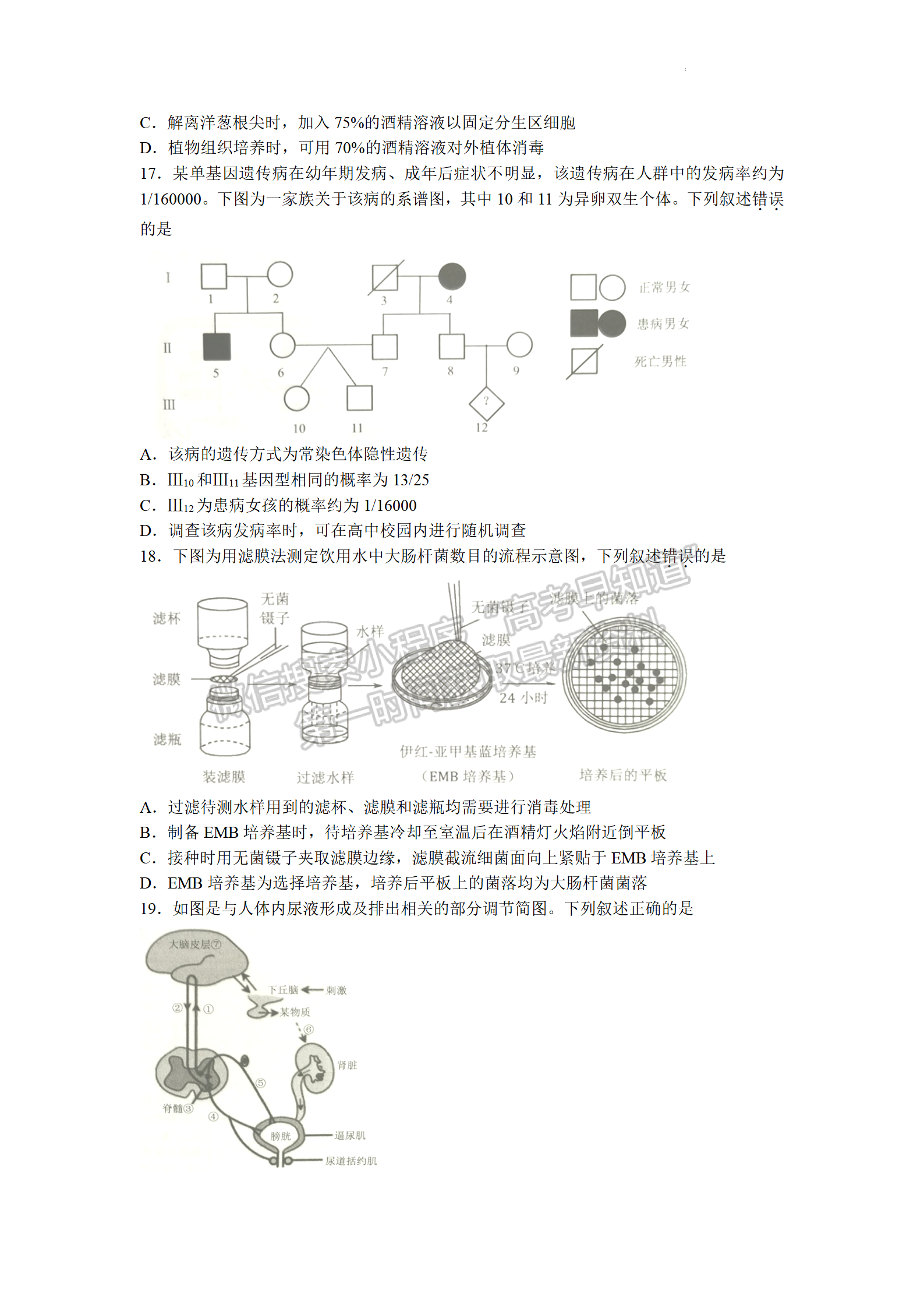 2023屆江蘇省鎮(zhèn)江市高三上學(xué)期期初測試生物試題及參考答案