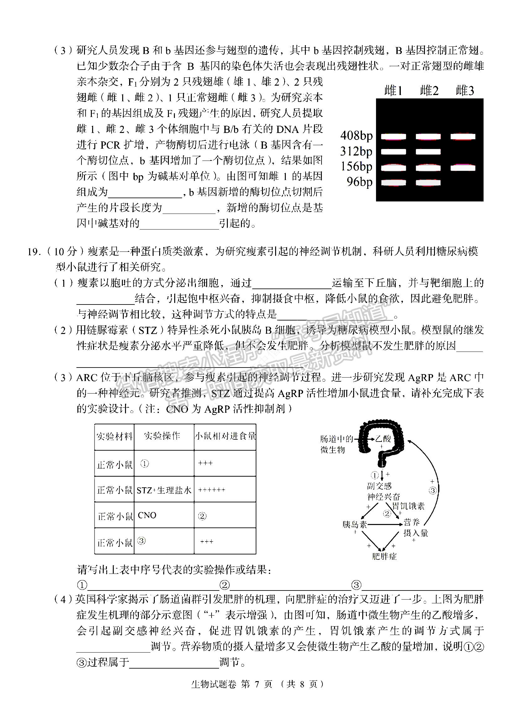 2023湖南省A佳教育高三上學期入學模擬測試生物試卷及答案