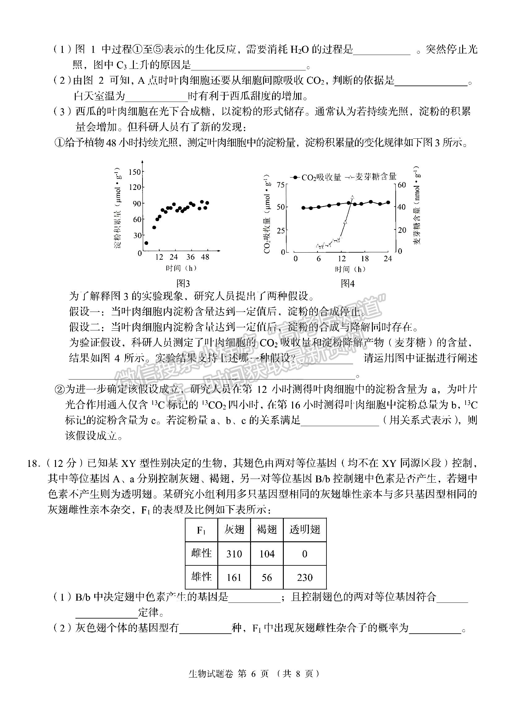 2023湖南省A佳教育高三上學期入學模擬測試生物試卷及答案