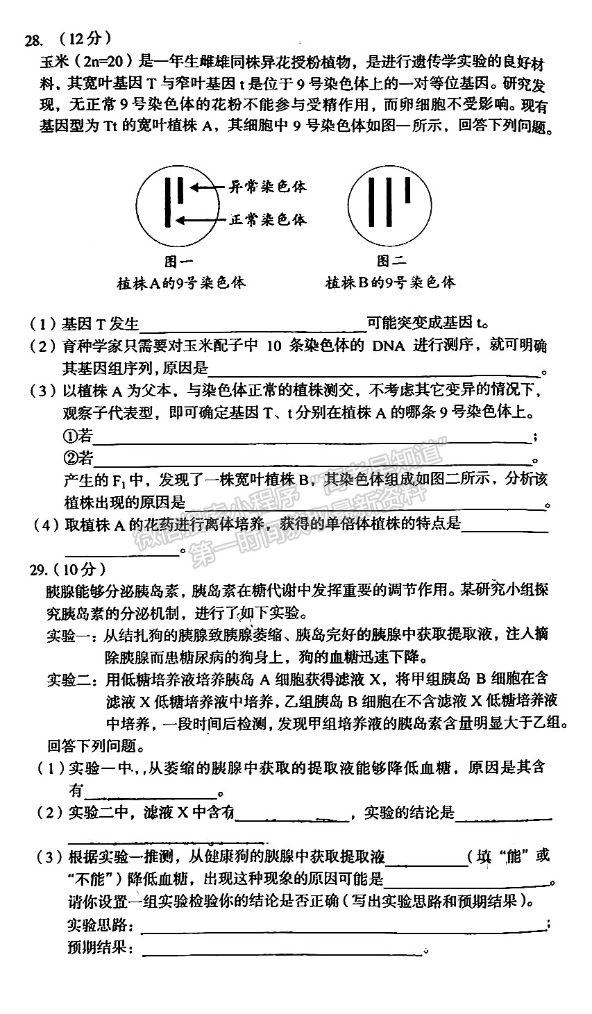 2023安徽A10聯(lián)盟開學考生物試卷及答案