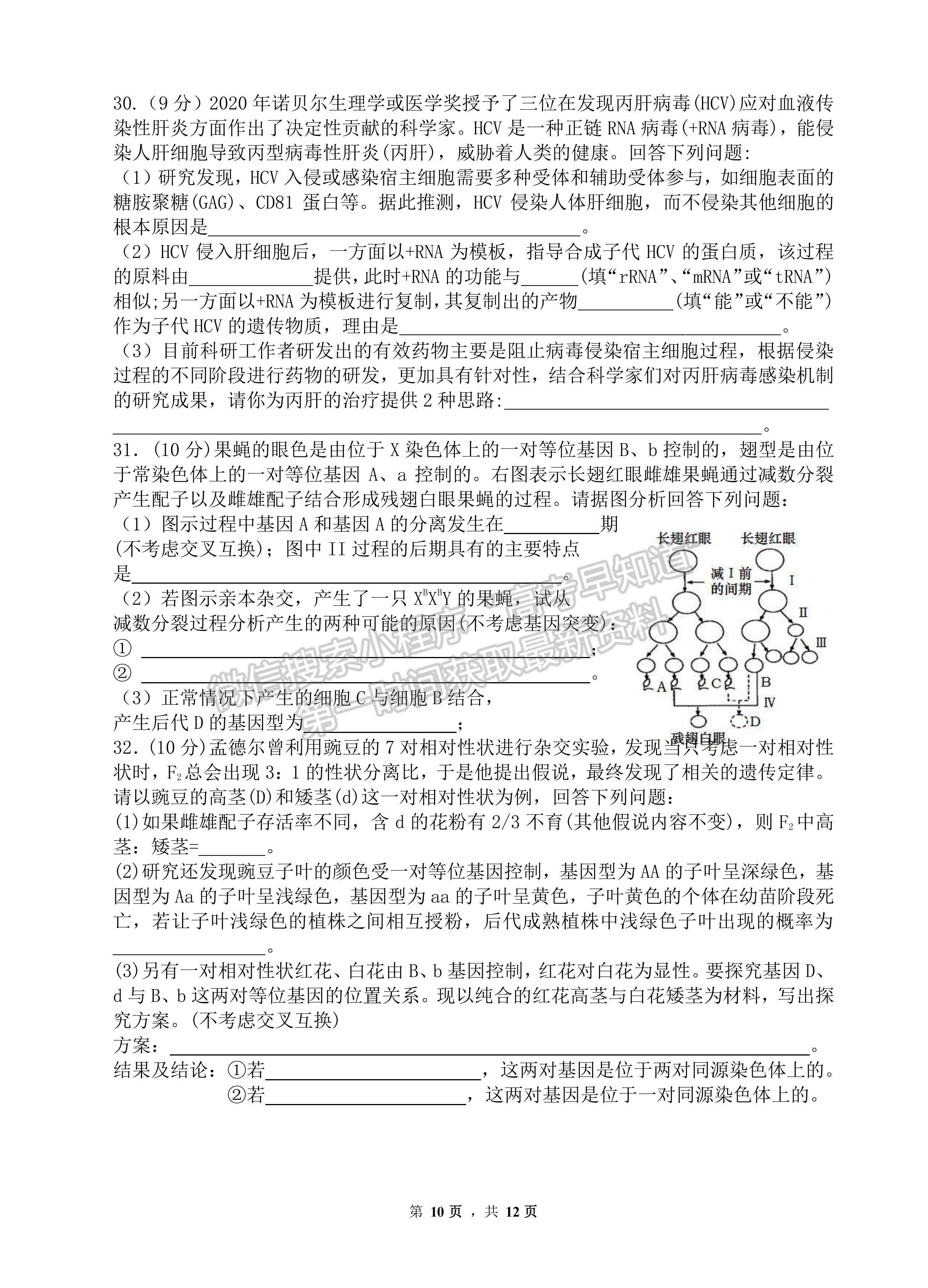 2023屆四川省綿陽南山中學(xué)高三上期秋高2020級入學(xué)考試?yán)砜凭C合試題及答案