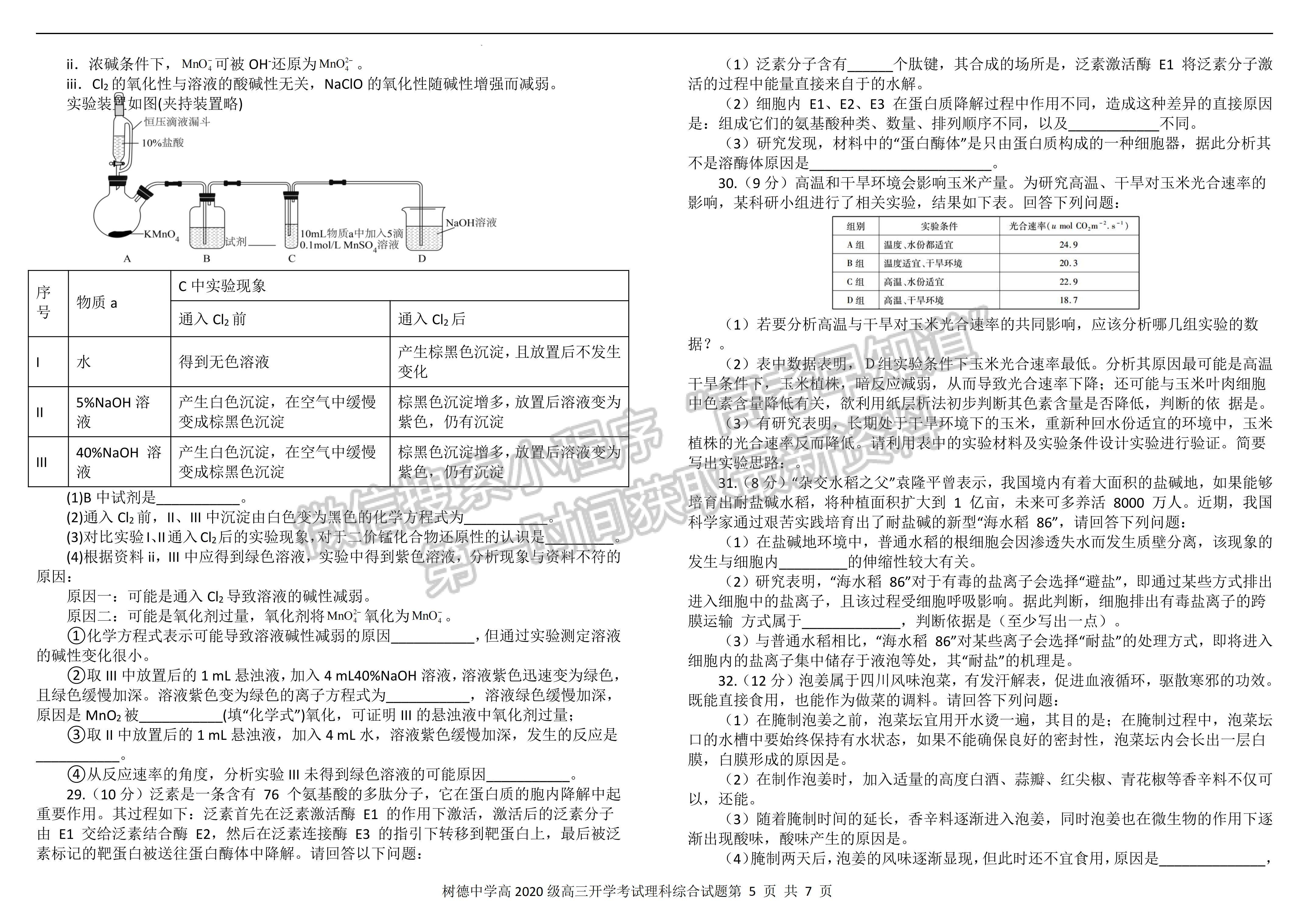 2023屆成都樹(shù)德中學(xué)高三上期入學(xué)考試?yán)砜凭C合試題及答案