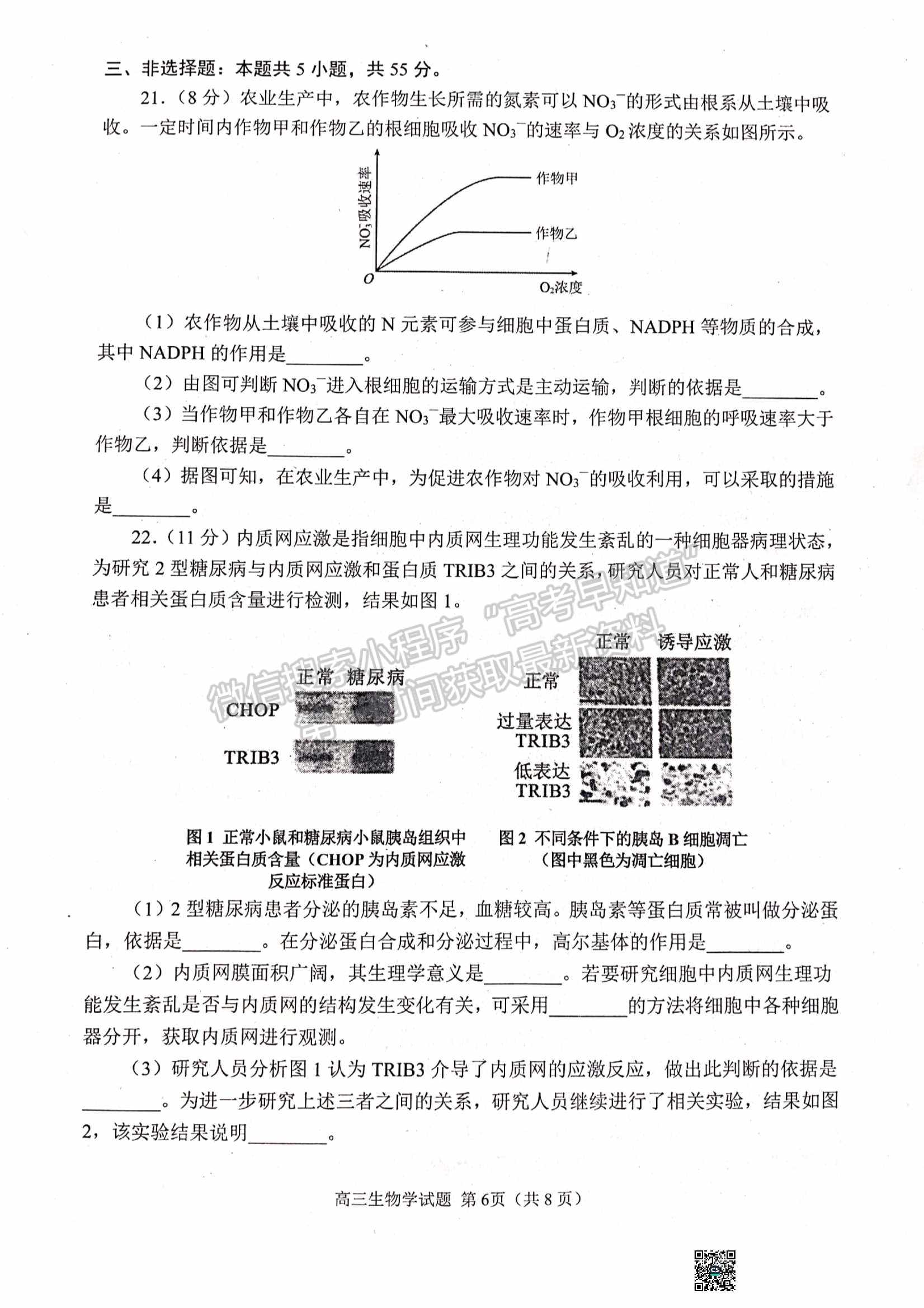 2023山東日照市高三上學期第一次校際聯(lián)考生物試題及參考答案