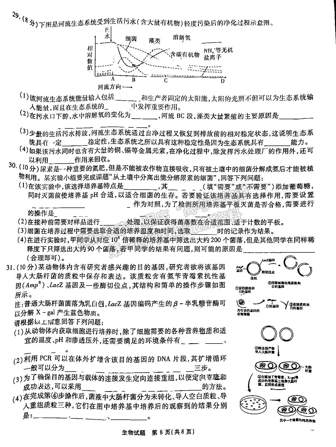 2023安徽江淮十校高三第一次聯(lián)考生物試卷及答案