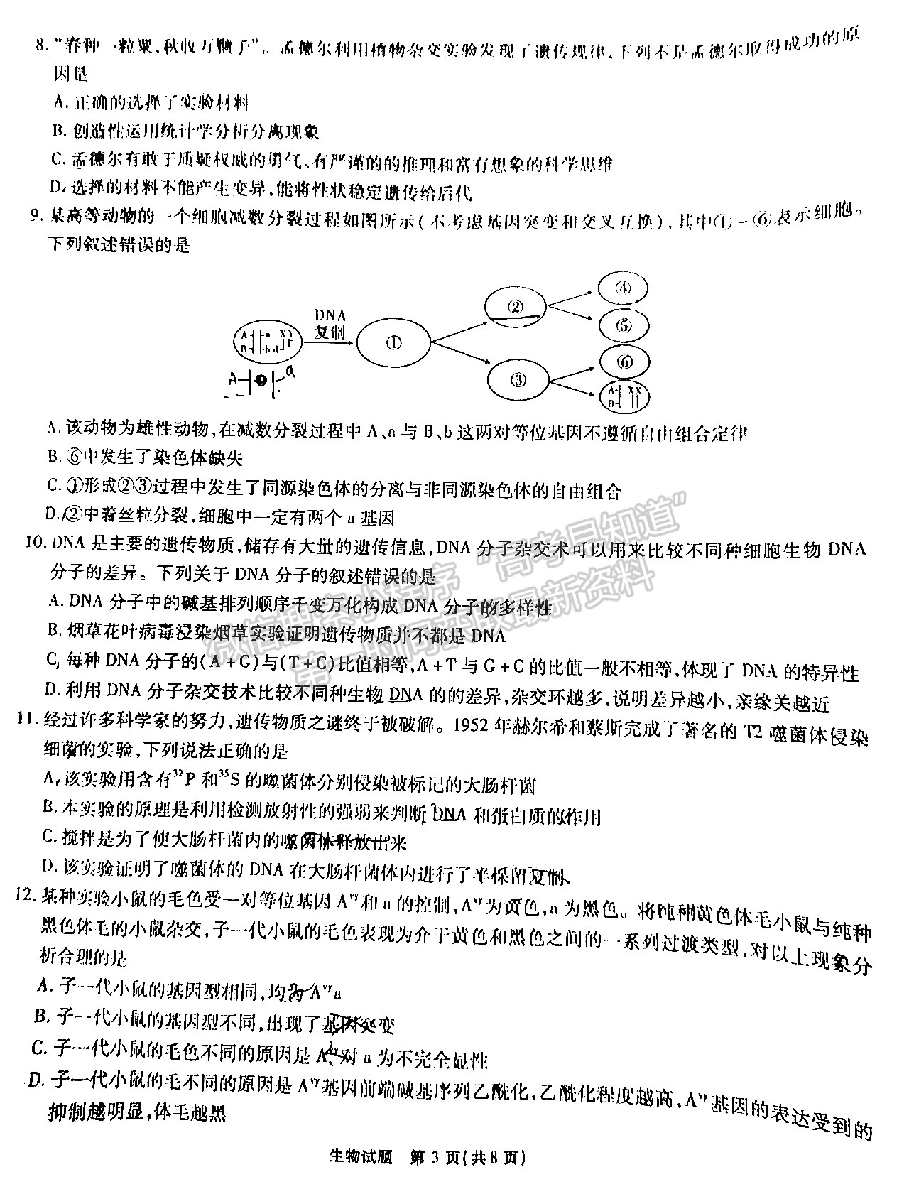 2023安徽江淮十校高三第一次联考生物试卷及答案