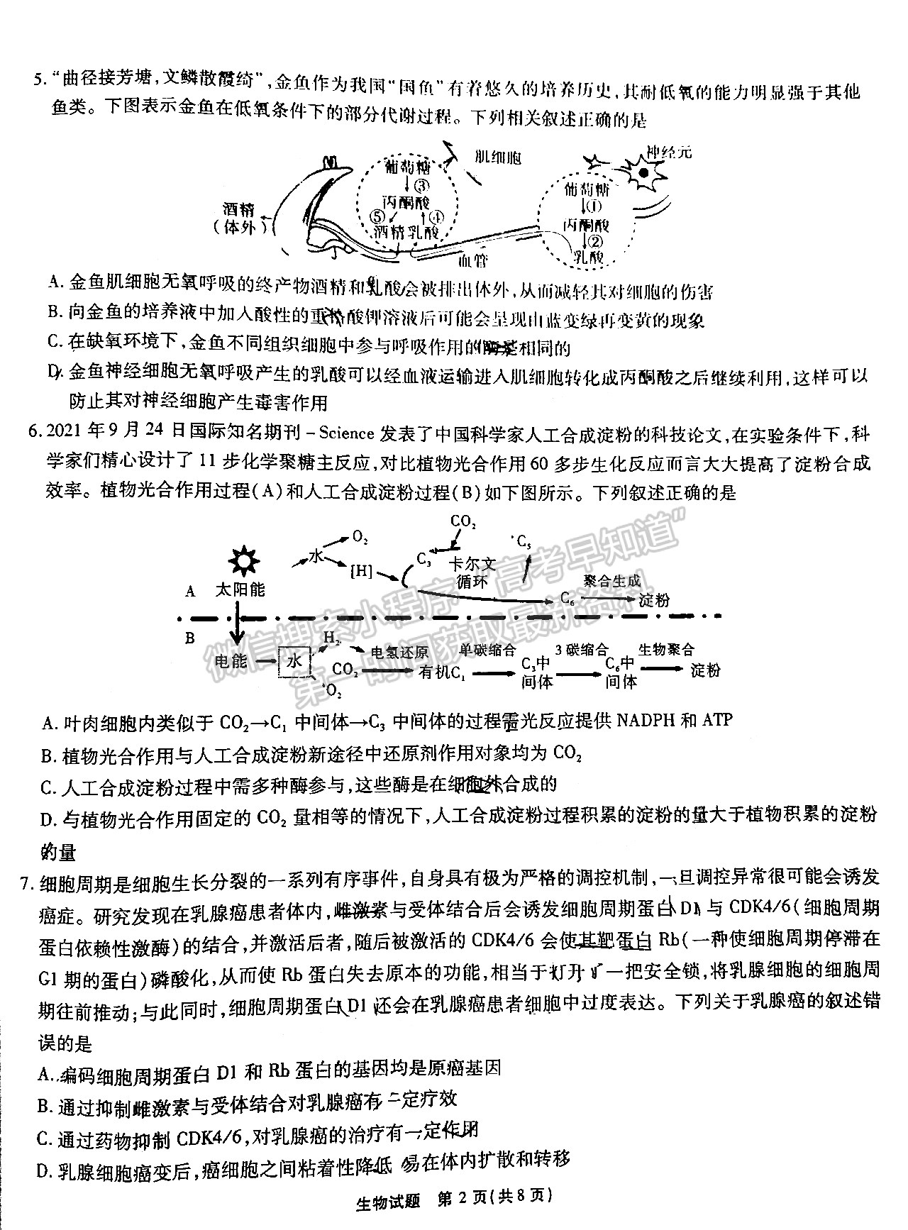 2023安徽江淮十校高三第一次联考生物试卷及答案