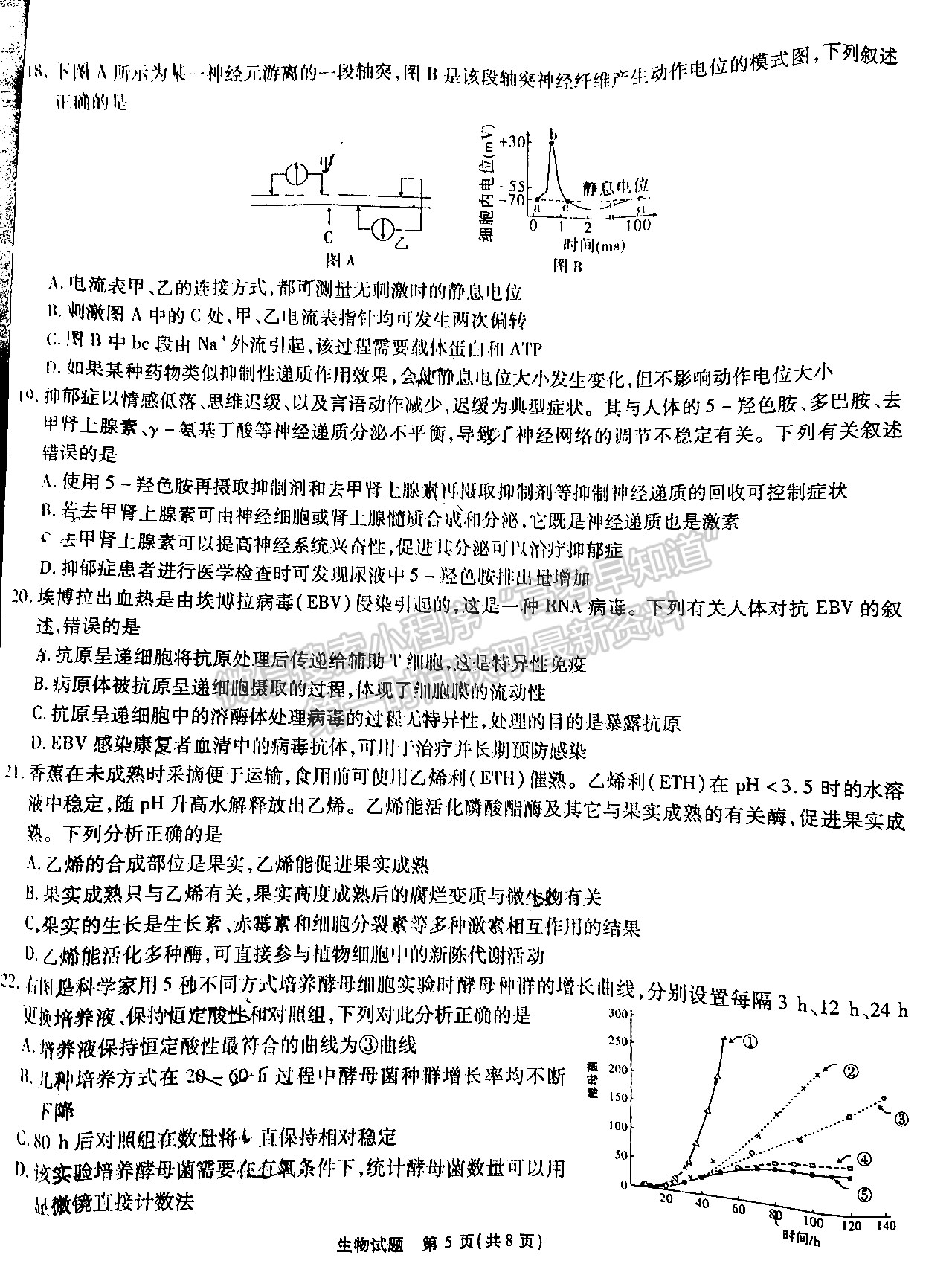 2023安徽江淮十校高三第一次聯(lián)考生物試卷及答案