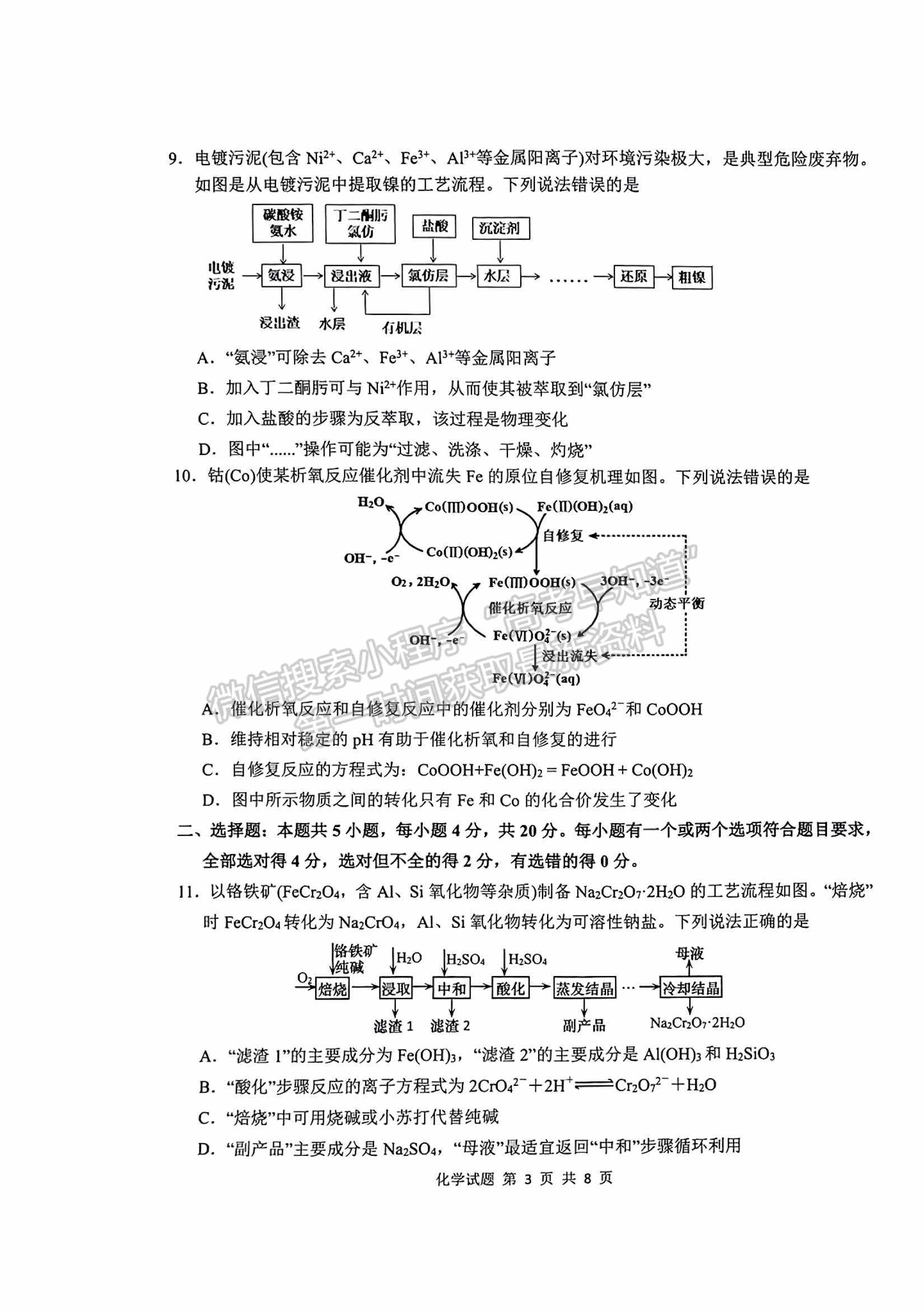 2023山東青島市高三期初檢測化學試題及參考答案