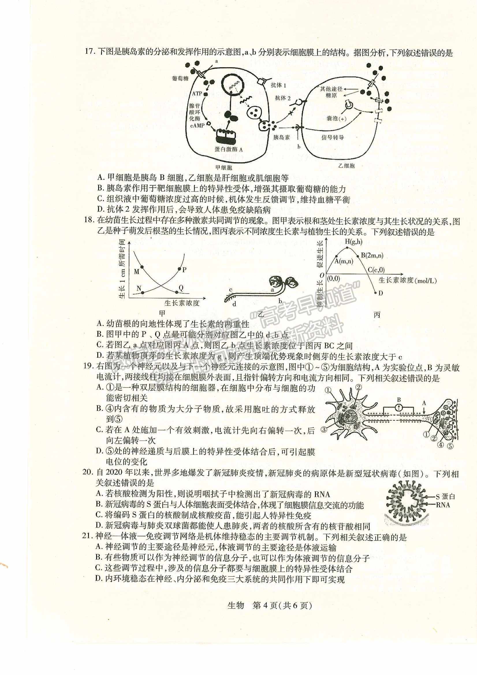 2023江西穩(wěn)派高三9月聯(lián)考生物試題及參考答案