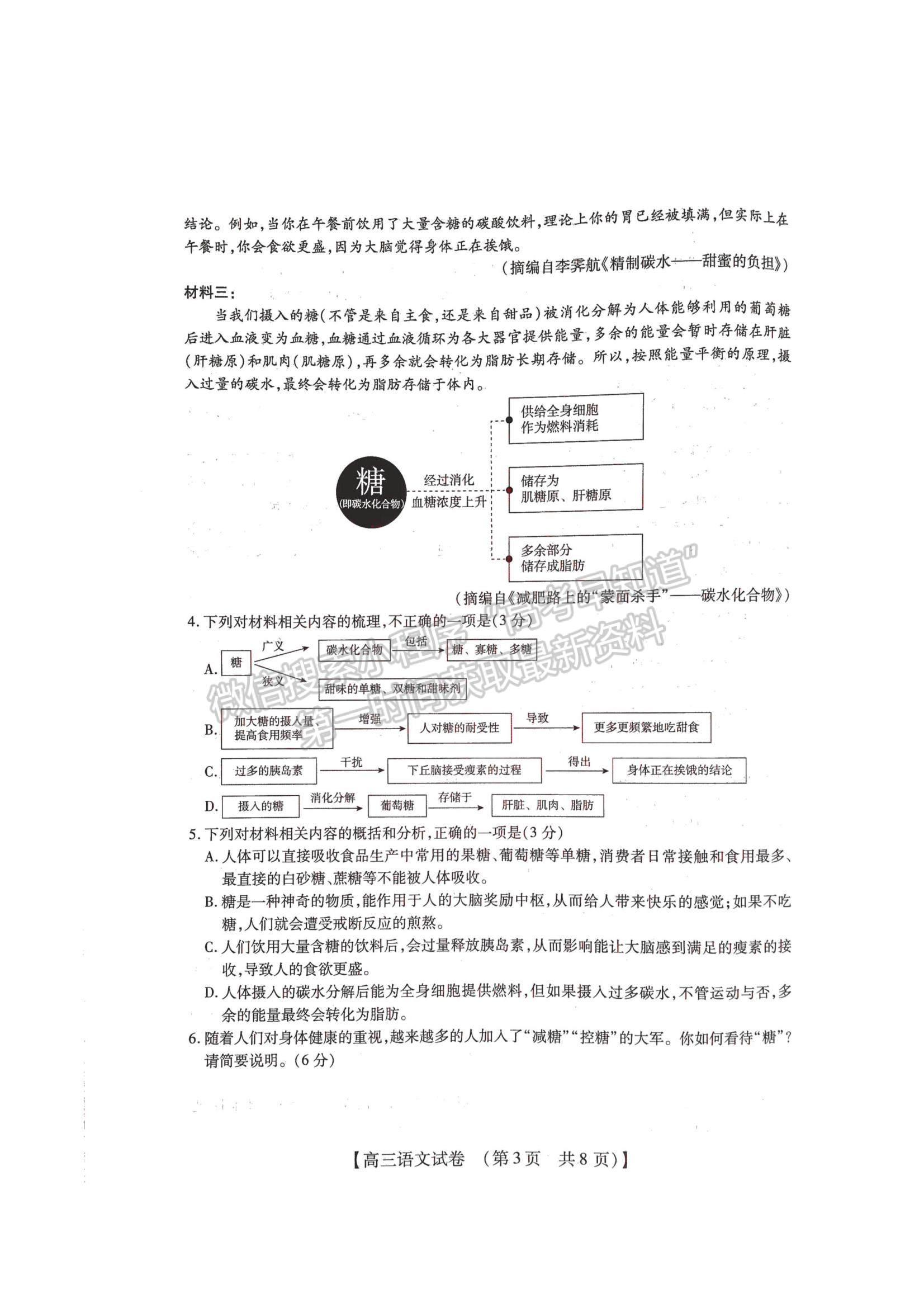 2023河南省六市TOP二十名校高三上學(xué)期9月摸底考試語文試卷及答案