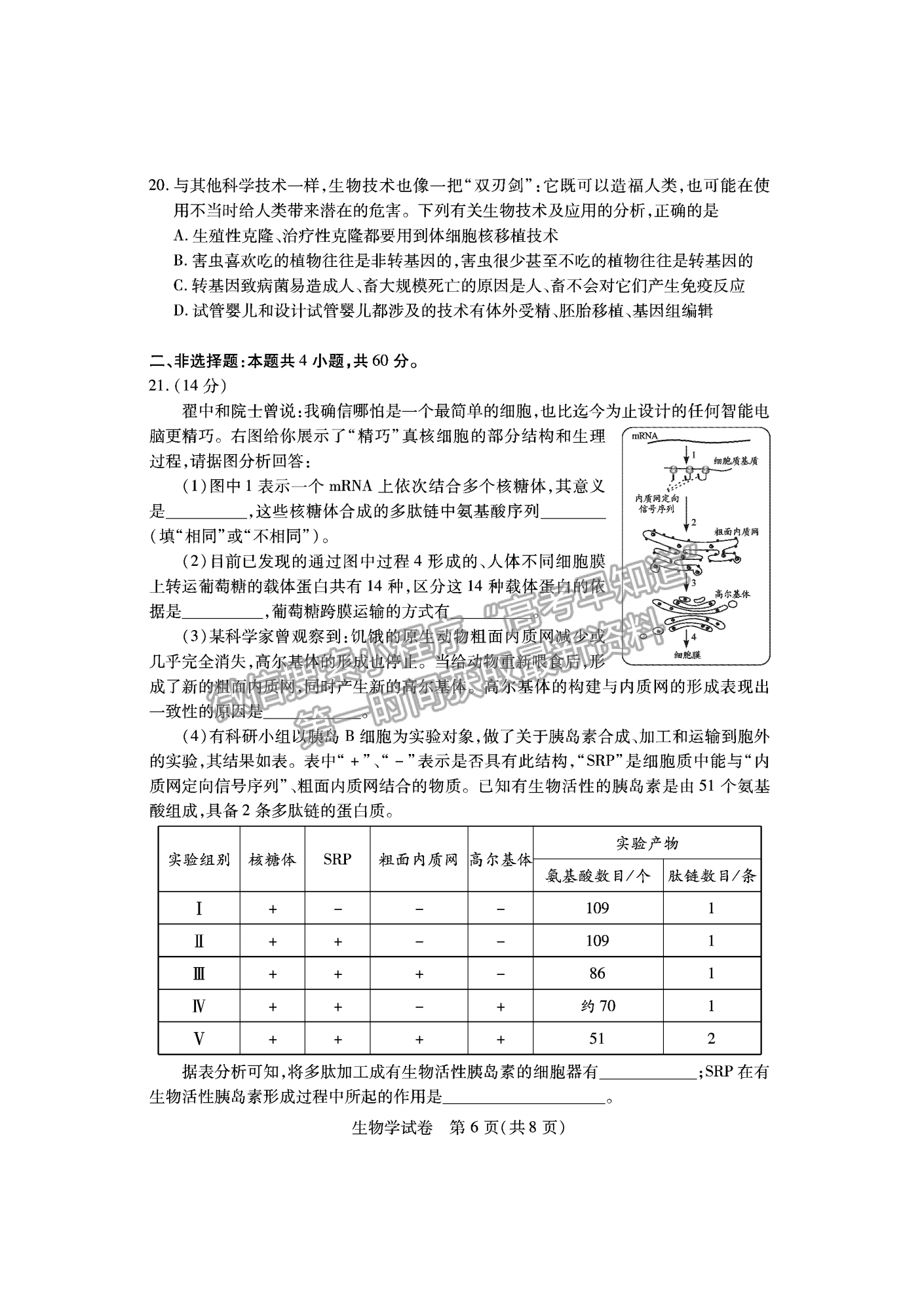 2023屆湖北宜荊荊恩高三9月起點考試生物試卷及參考答案