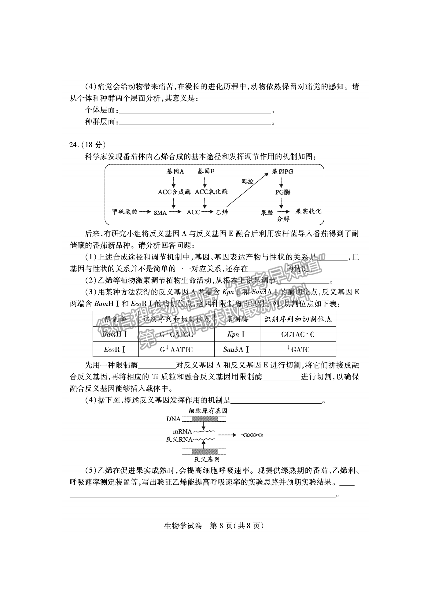 2023屆湖北宜荊荊恩高三9月起點(diǎn)考試生物試卷及參考答案