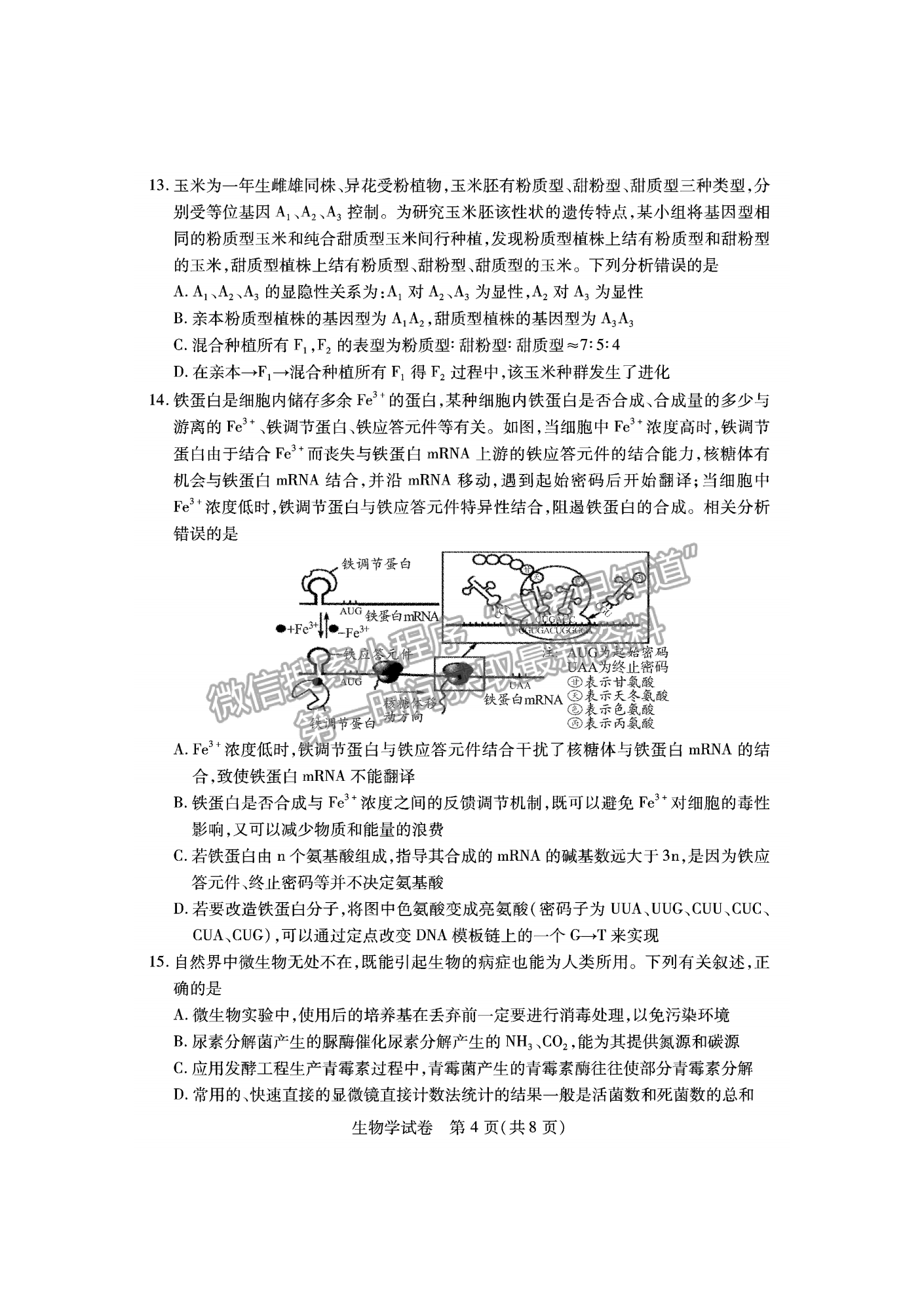 2023屆湖北宜荊荊恩高三9月起點考試生物試卷及參考答案