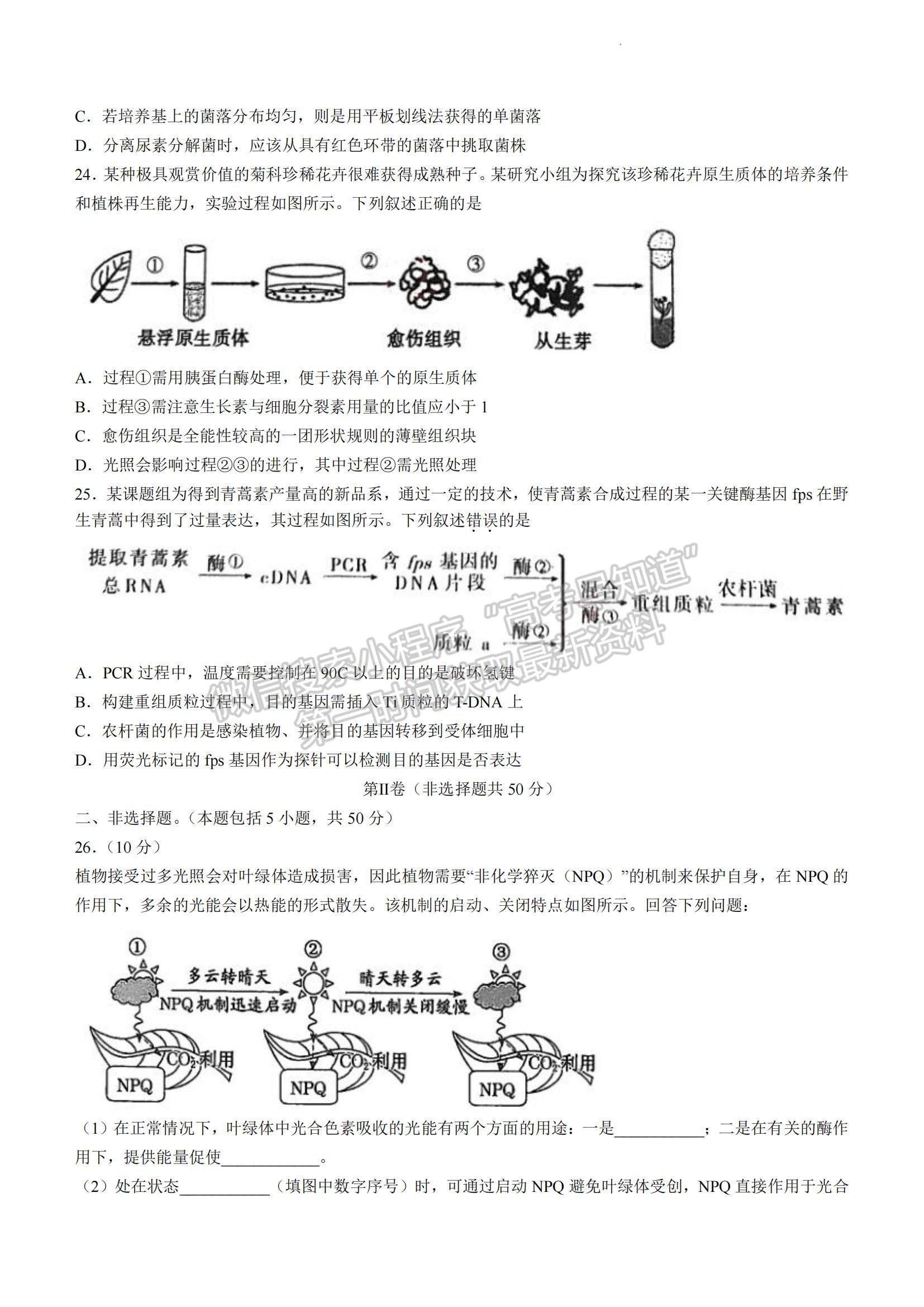 2023安徽省皖江名校高三上學(xué)期開學(xué)考生物試卷及答案