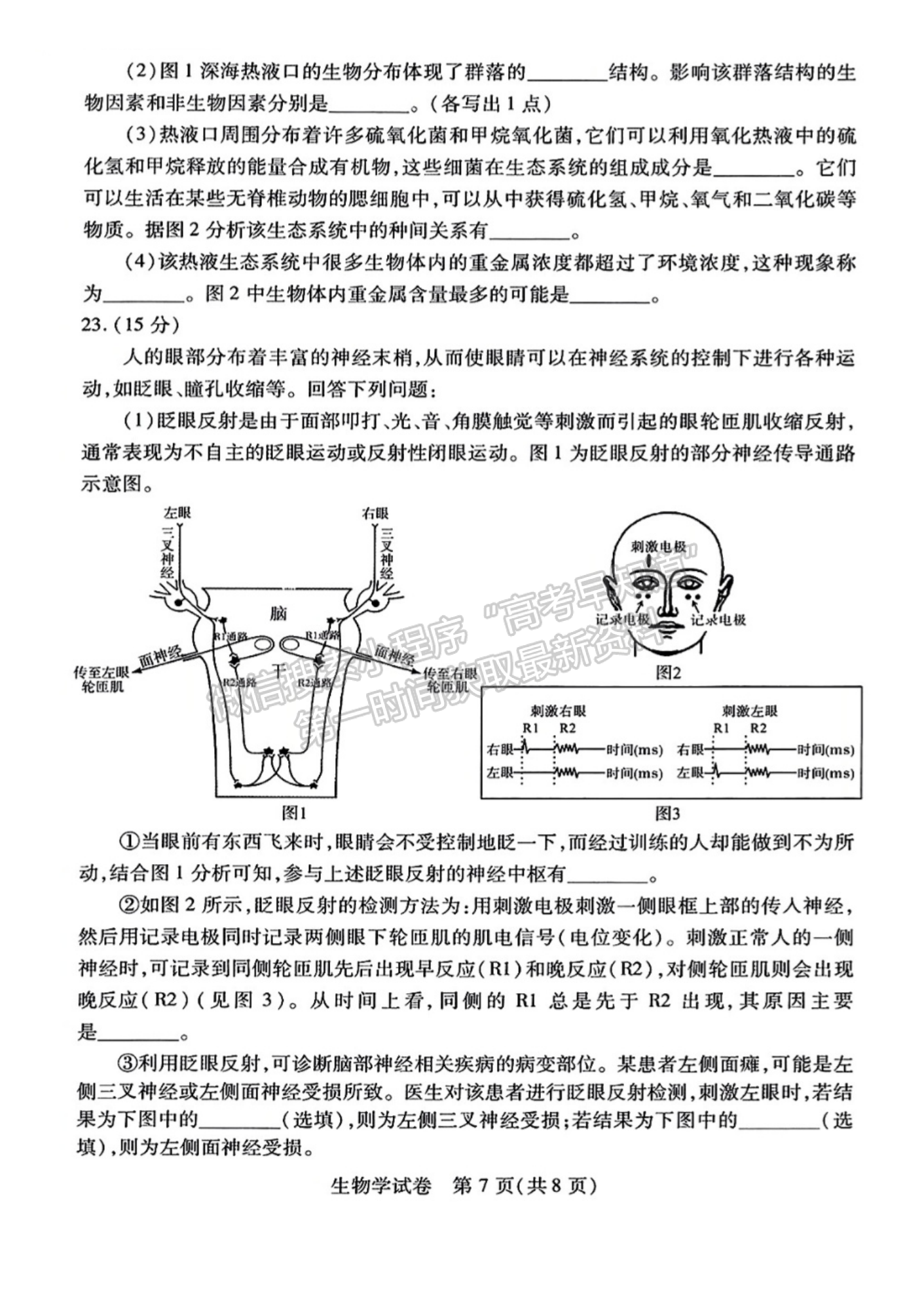 2023屆武漢市高三9月調(diào)研考試生物試卷及參考答案